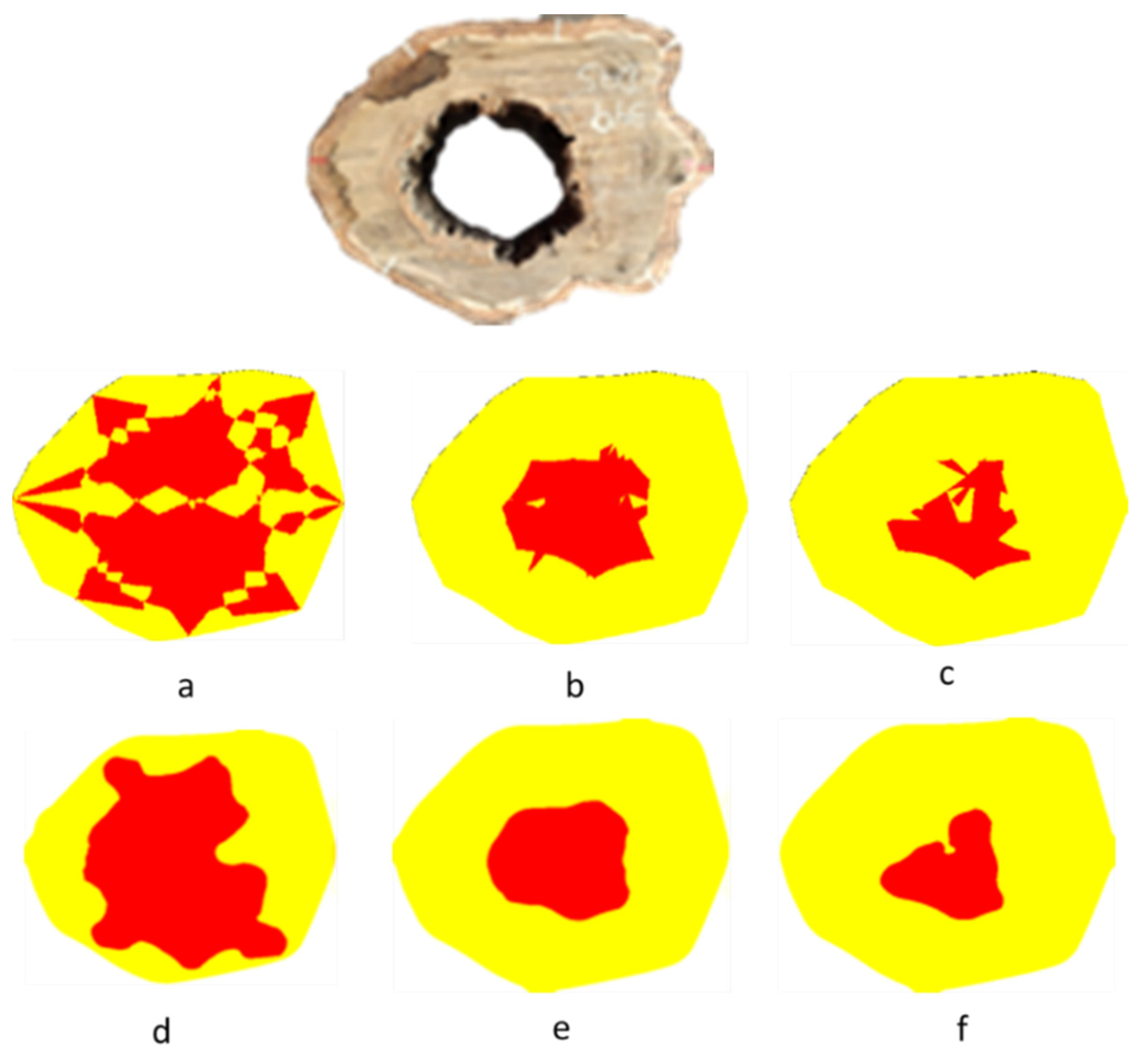 Forests 13 01935 g011