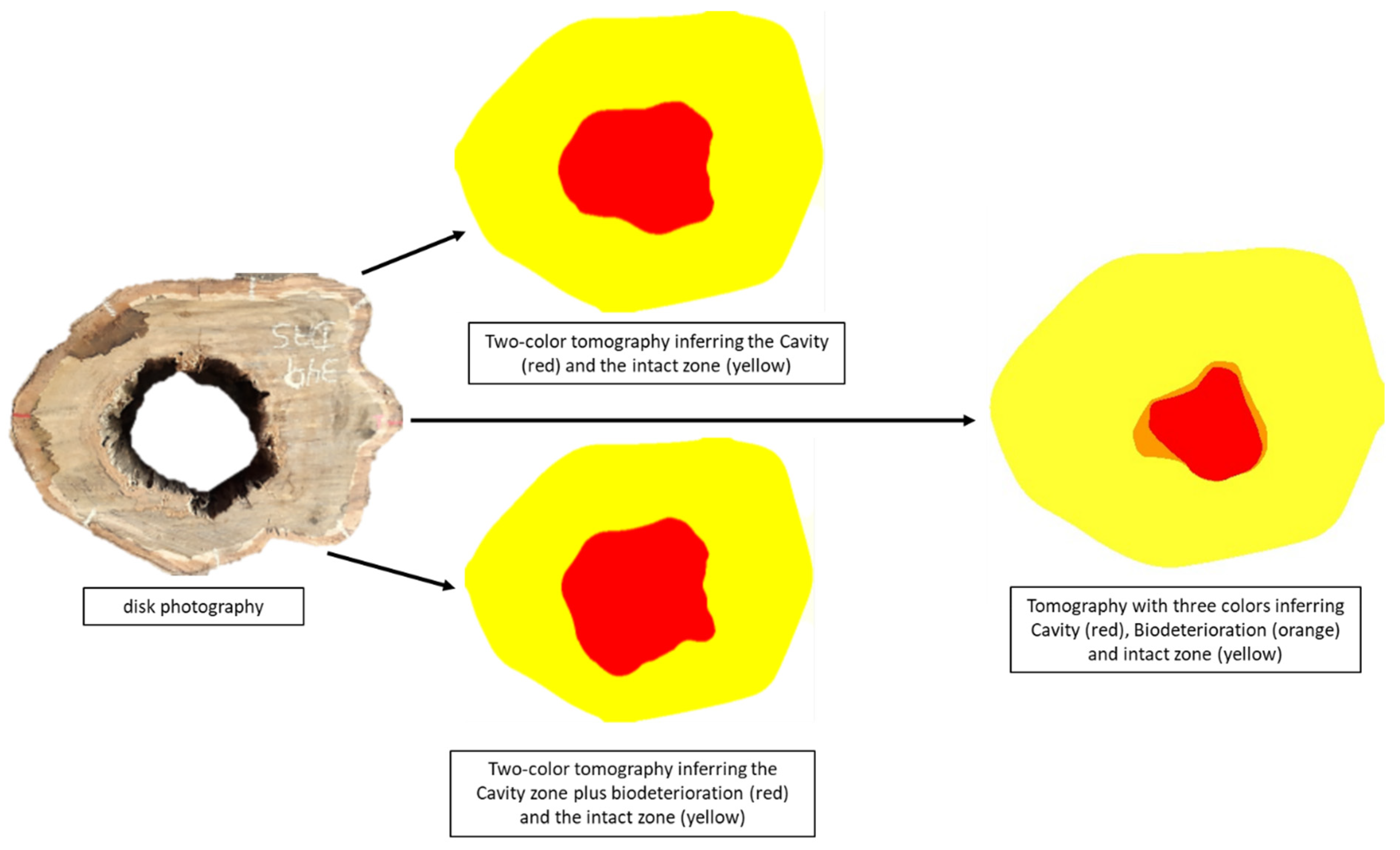 Forests 13 01935 g014