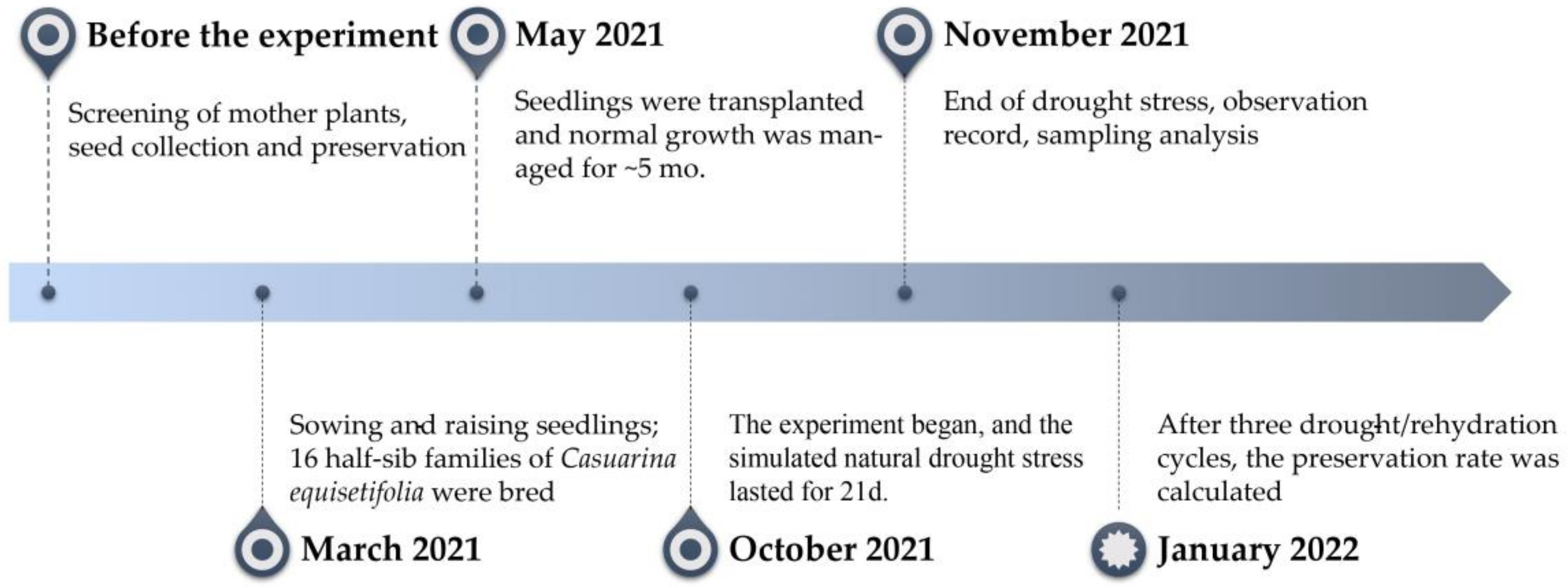 Forests 13 02037 g001