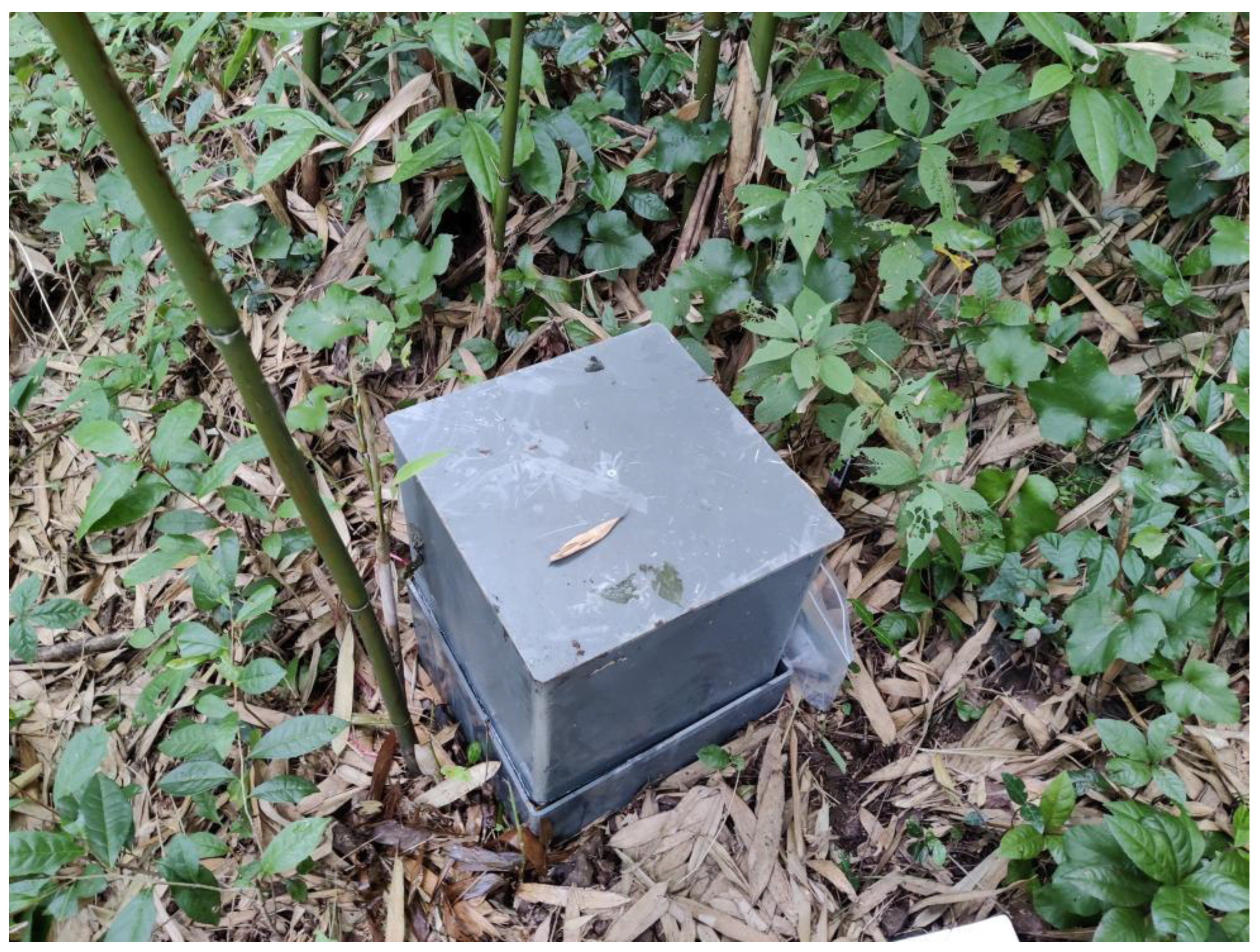 Forests 13 02181 g002