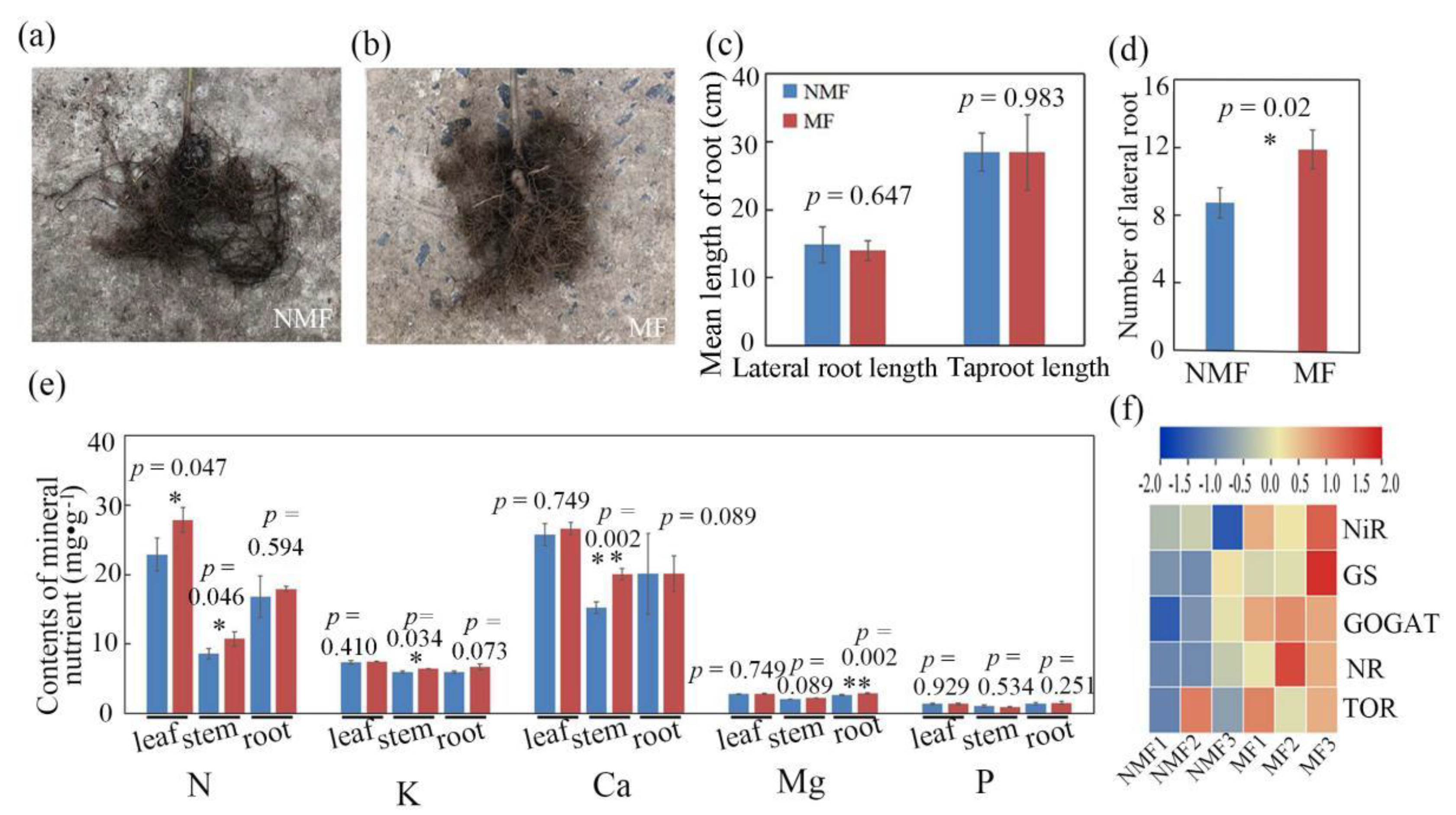 Forests 13 02188 g003