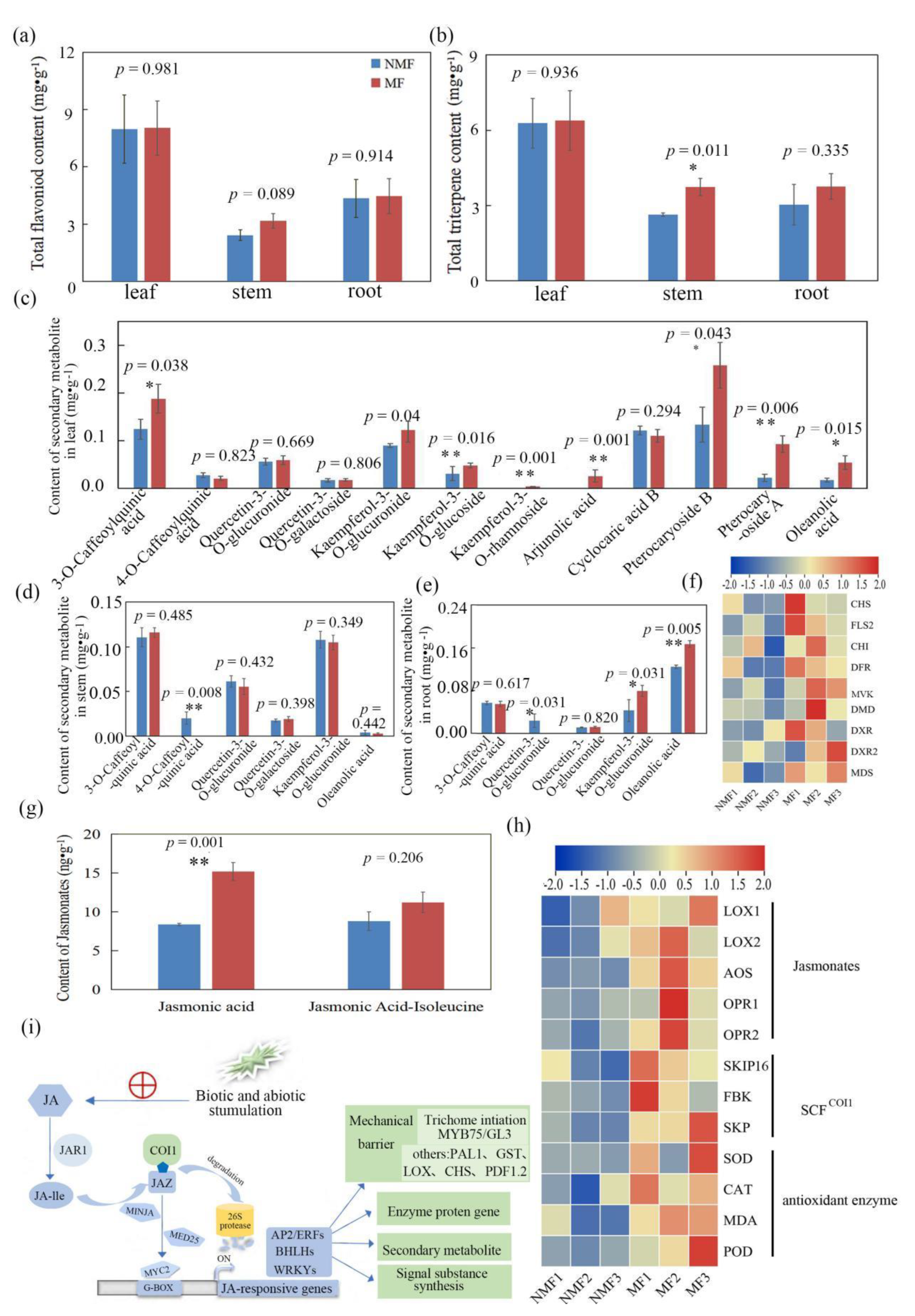 Forests 13 02188 g004