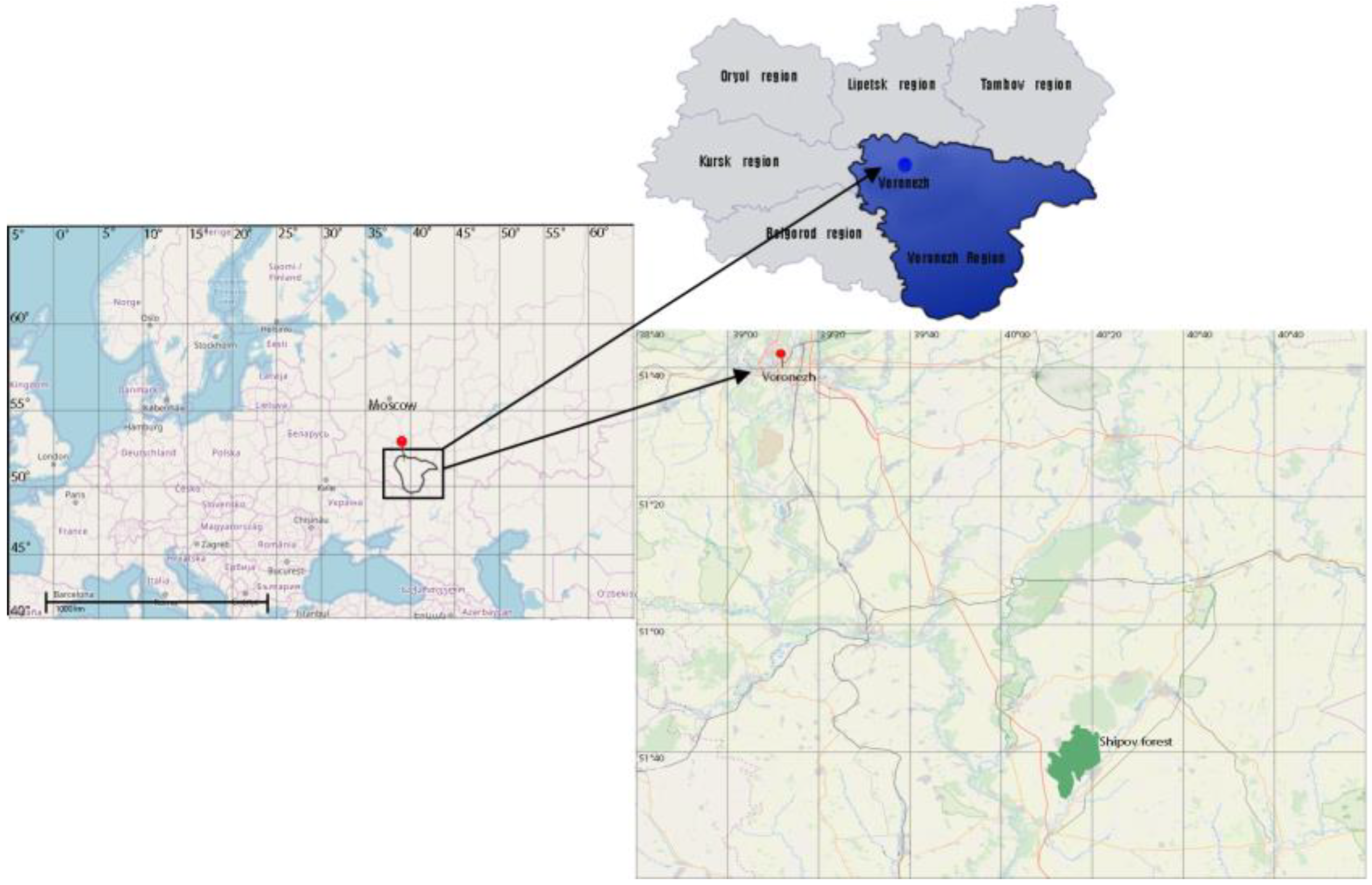 Forests 14 00011 g001
