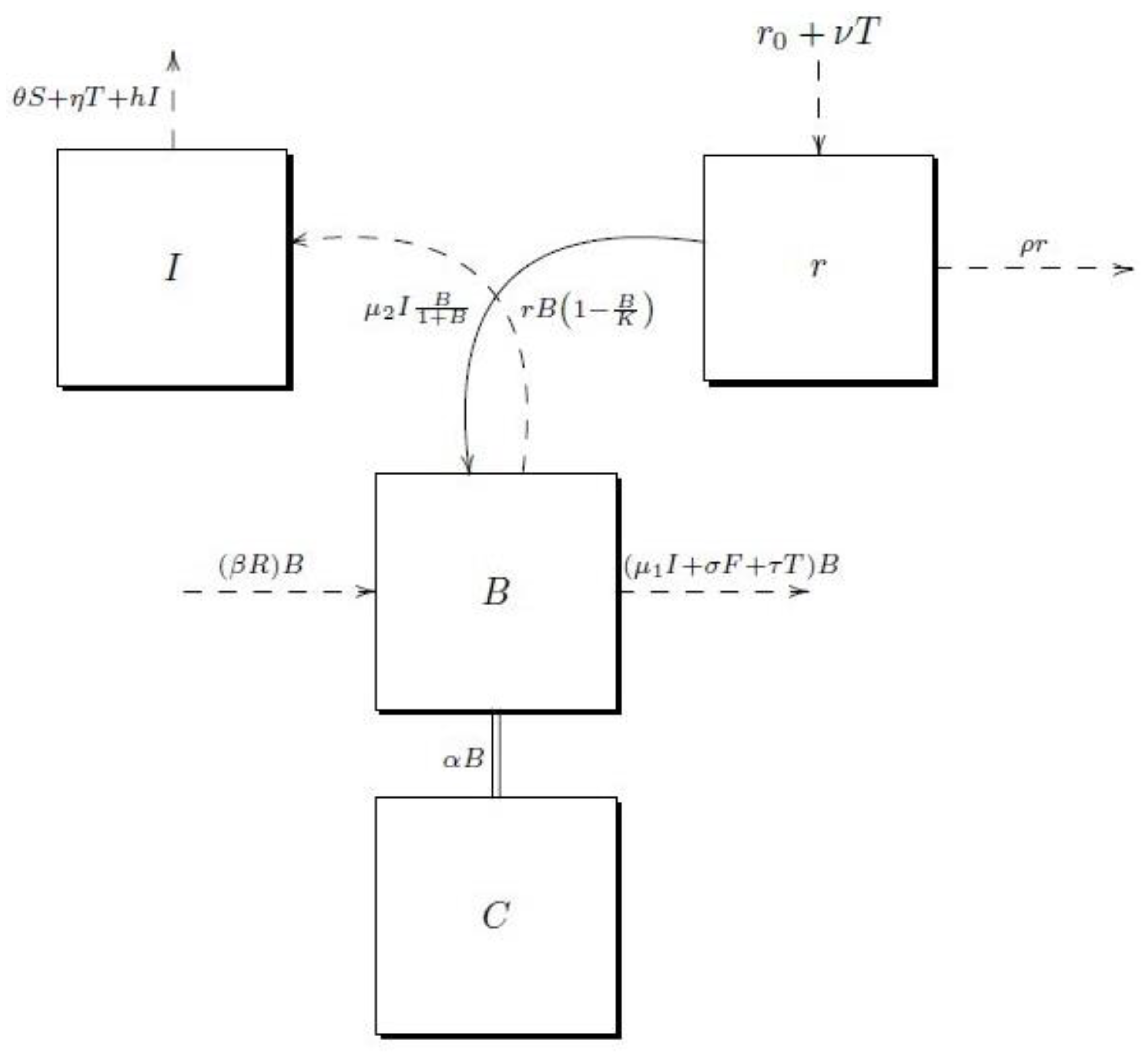 Forests 14 00082 g001