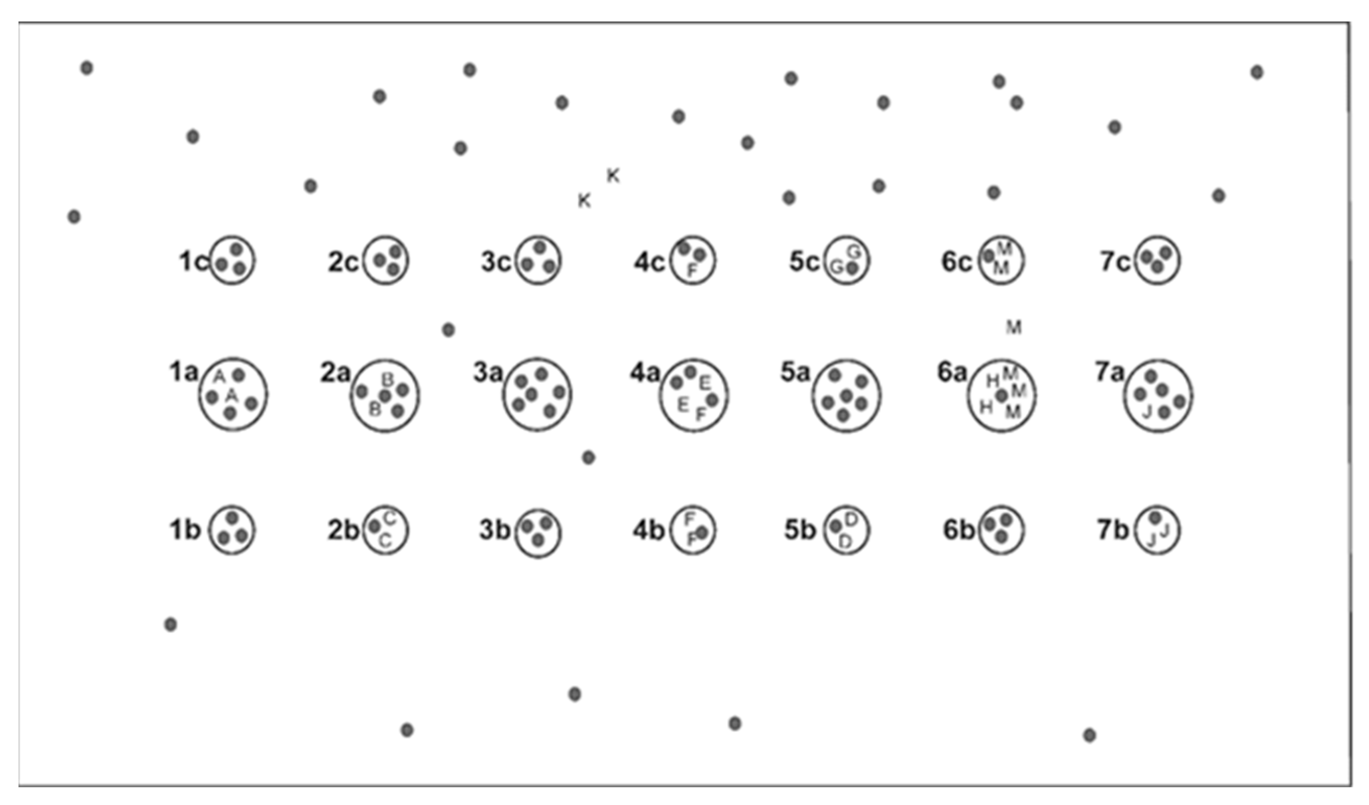 Forests 14 00281 g002