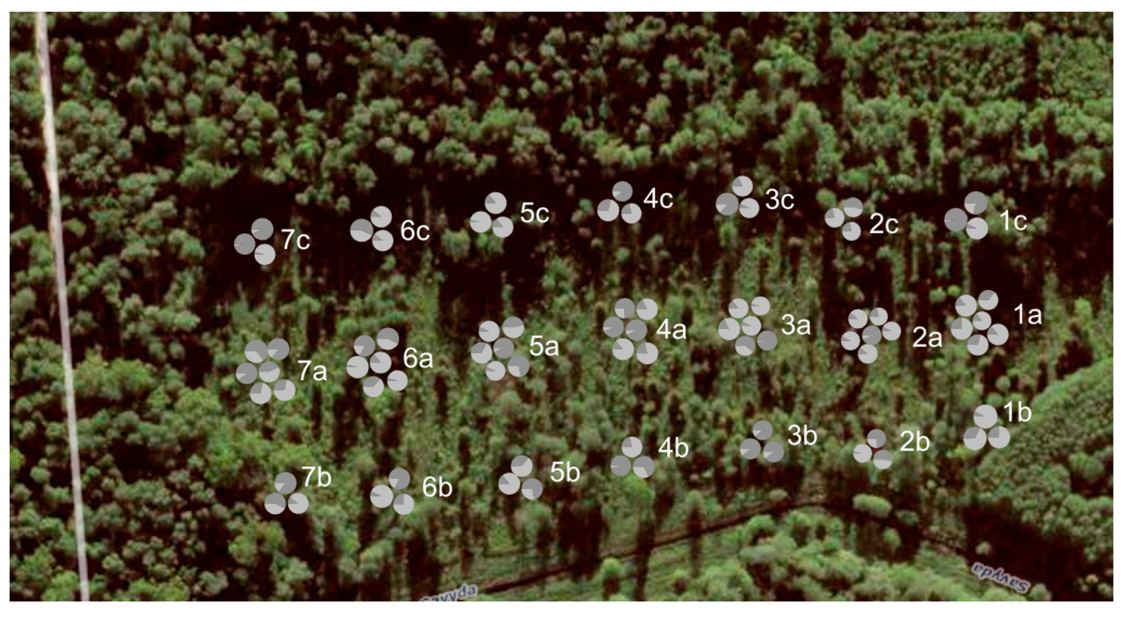 Forests 14 00281 g004