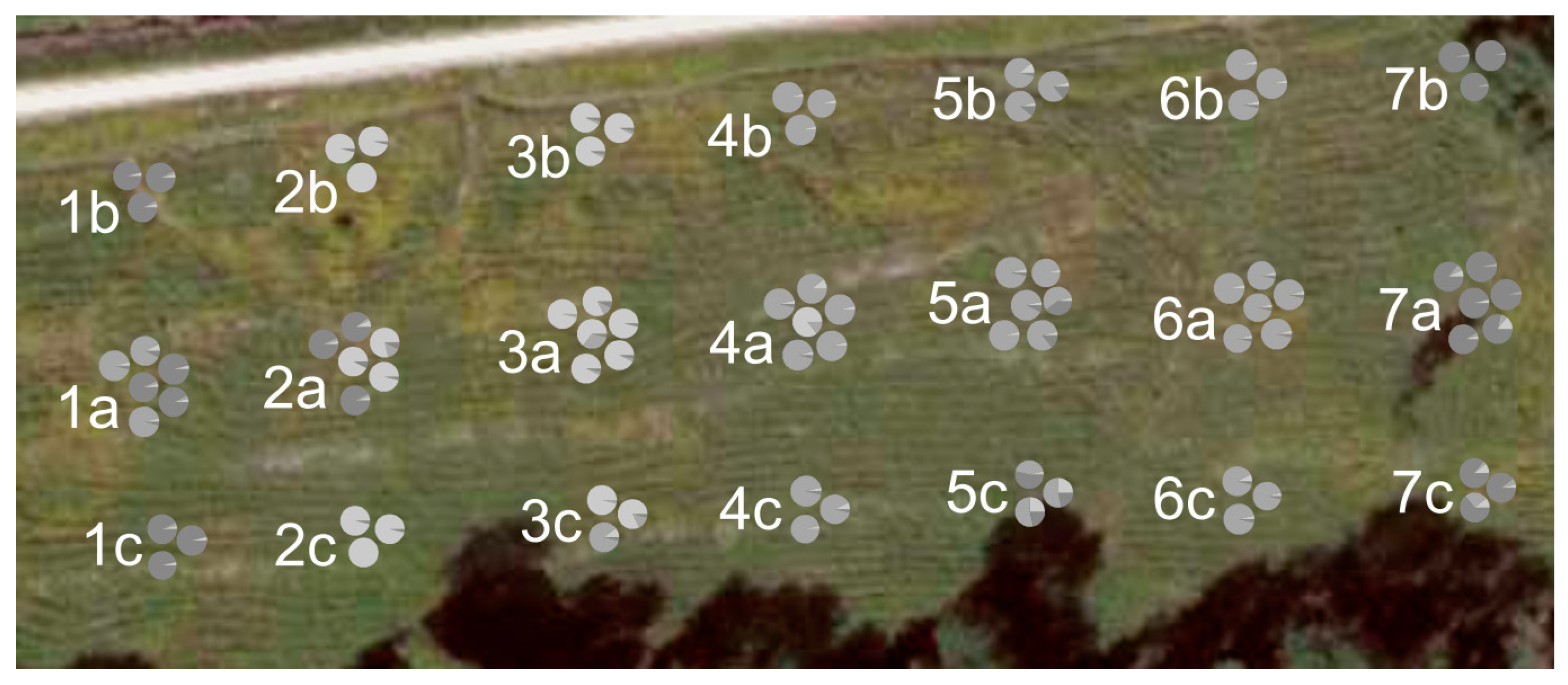 Forests 14 00281 g006