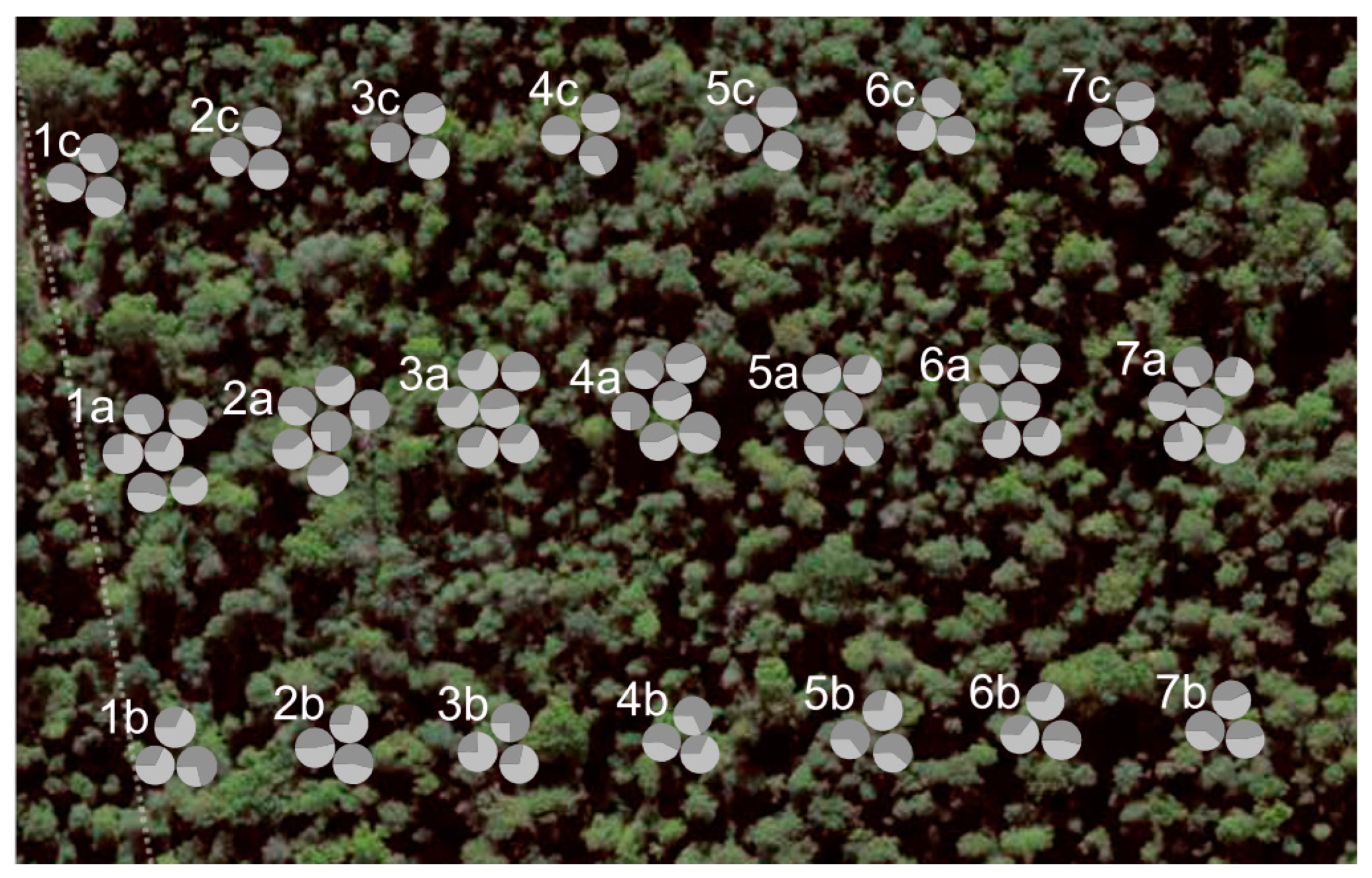 Forests 14 00281 g008