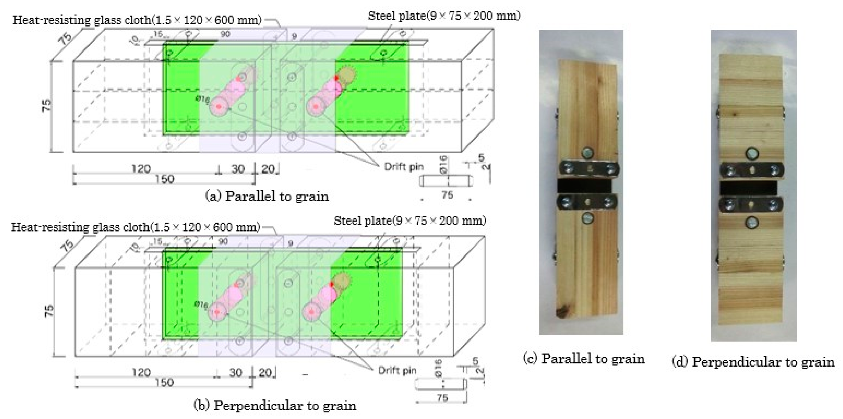 Forests 14 00373 g012