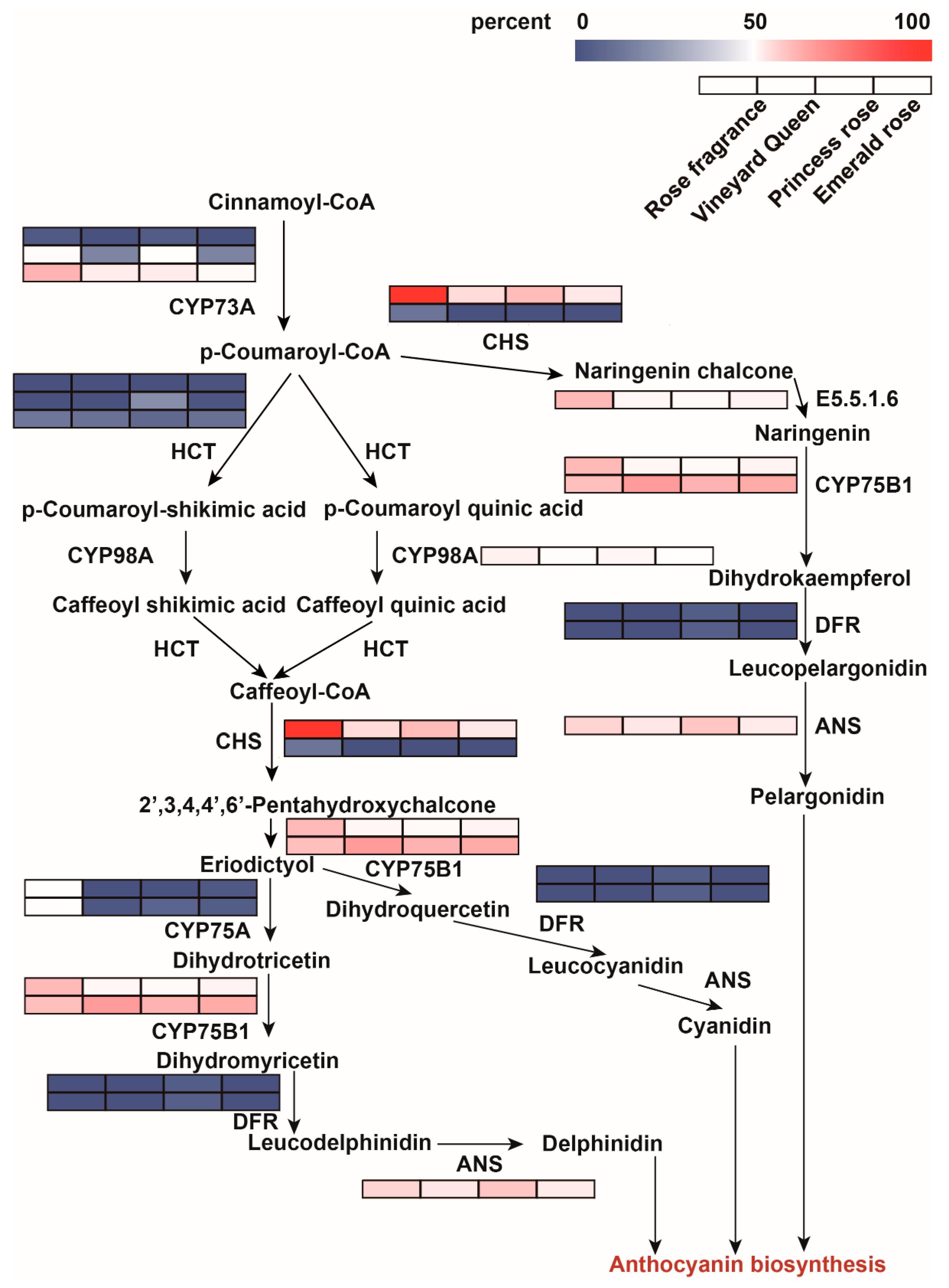 Forests 14 00416 g003