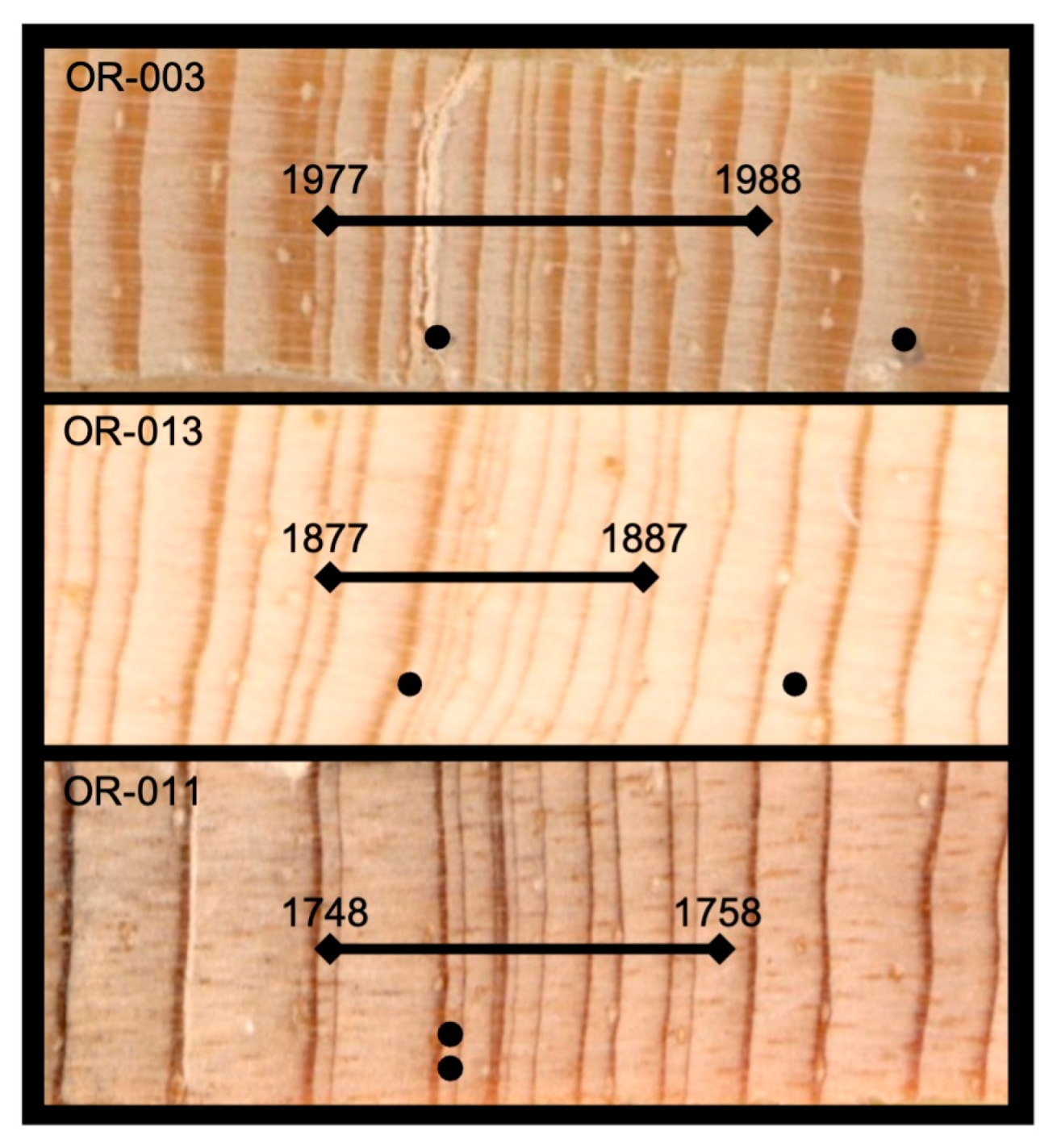 Forests 14 00444 g004