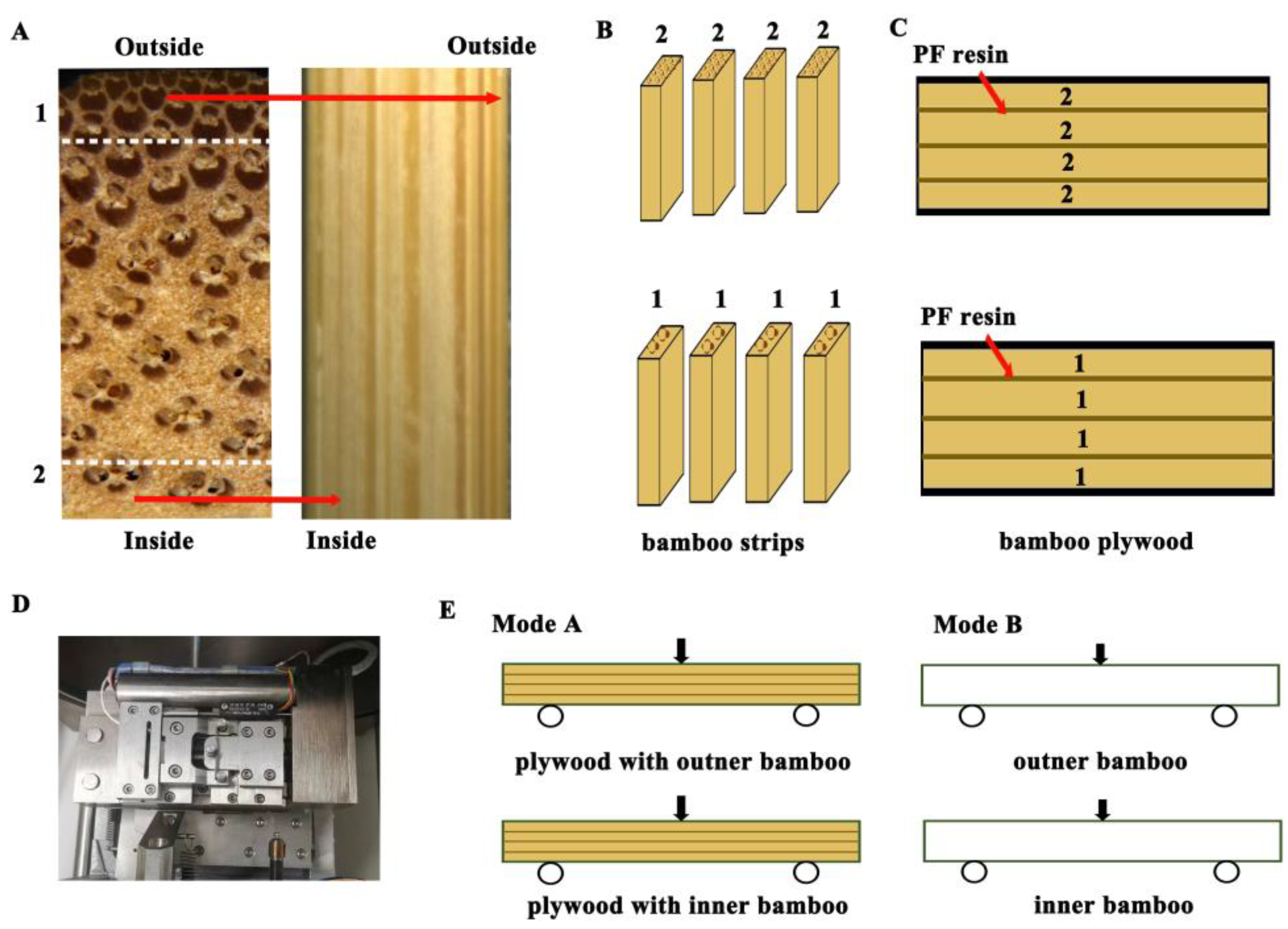 Forests 14 00515 g001