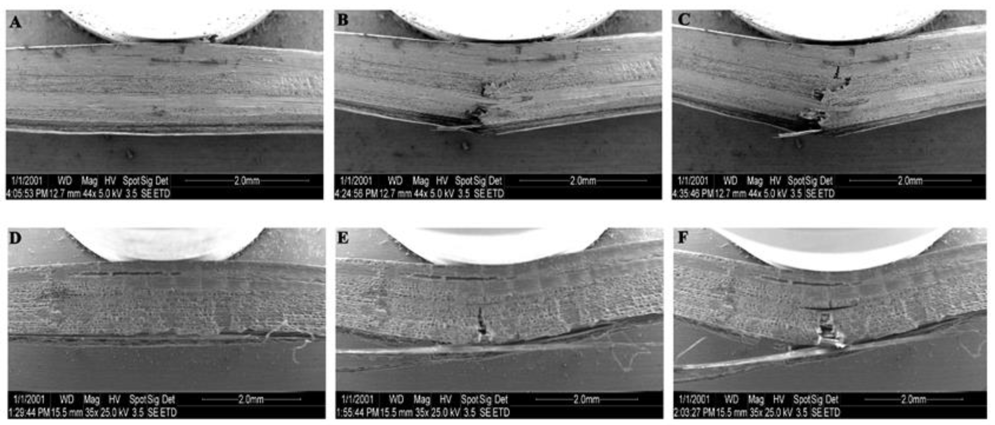 Forests 14 00515 g003