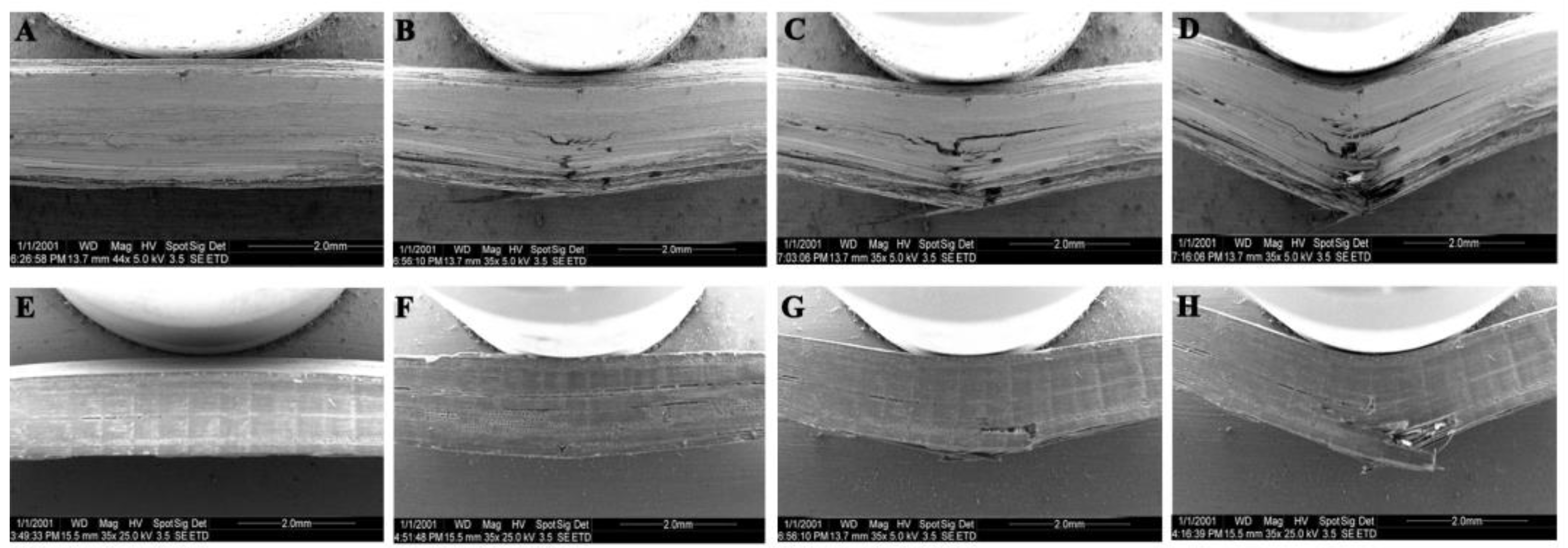 Forests 14 00515 g006