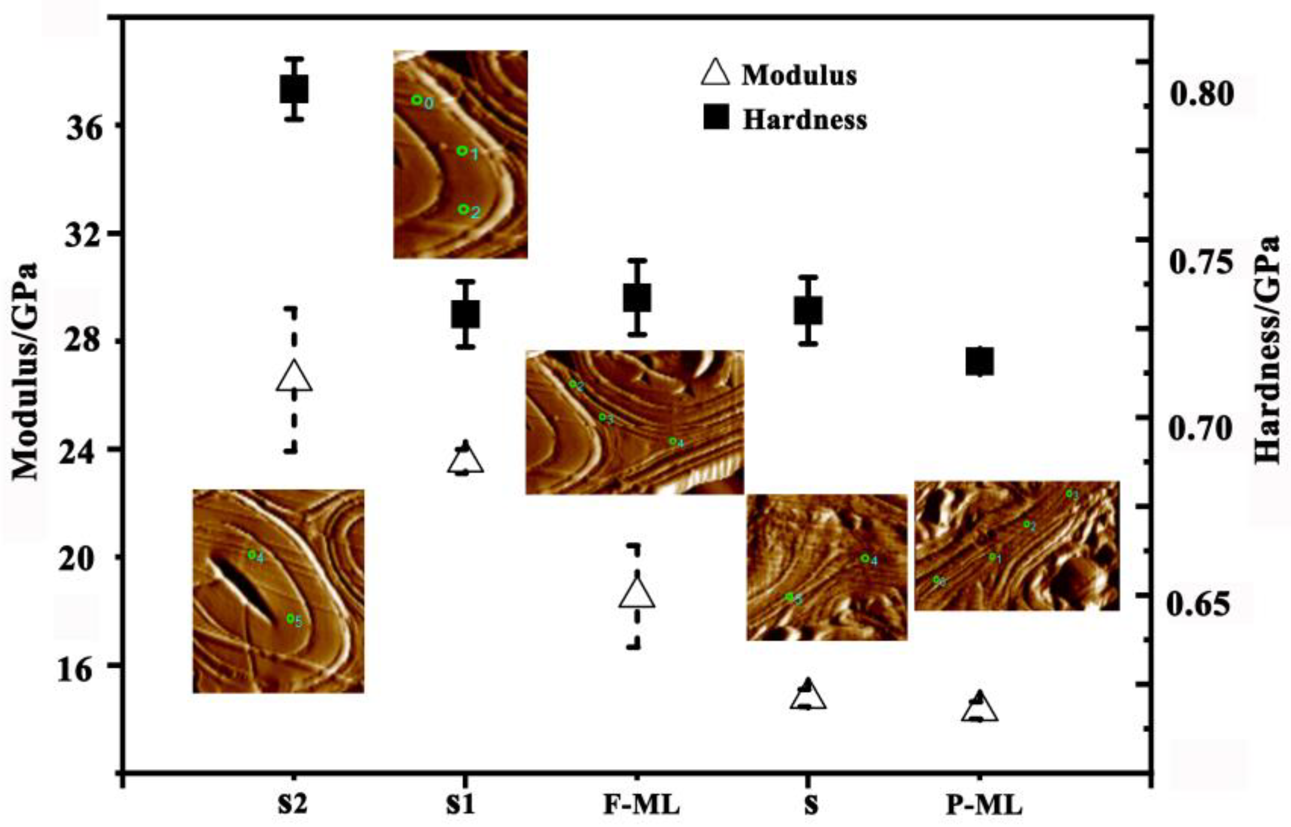 Forests 14 00515 g008