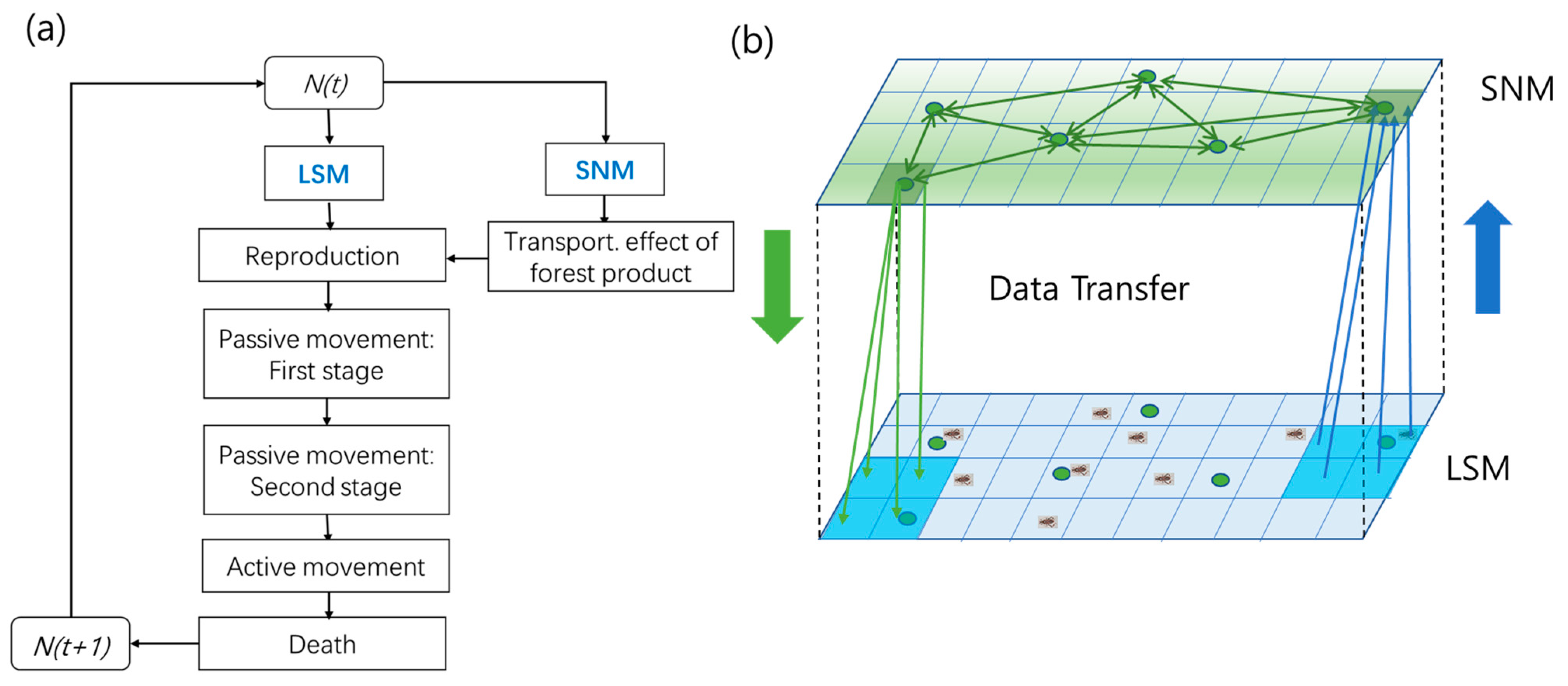 Forests 14 00552 g004