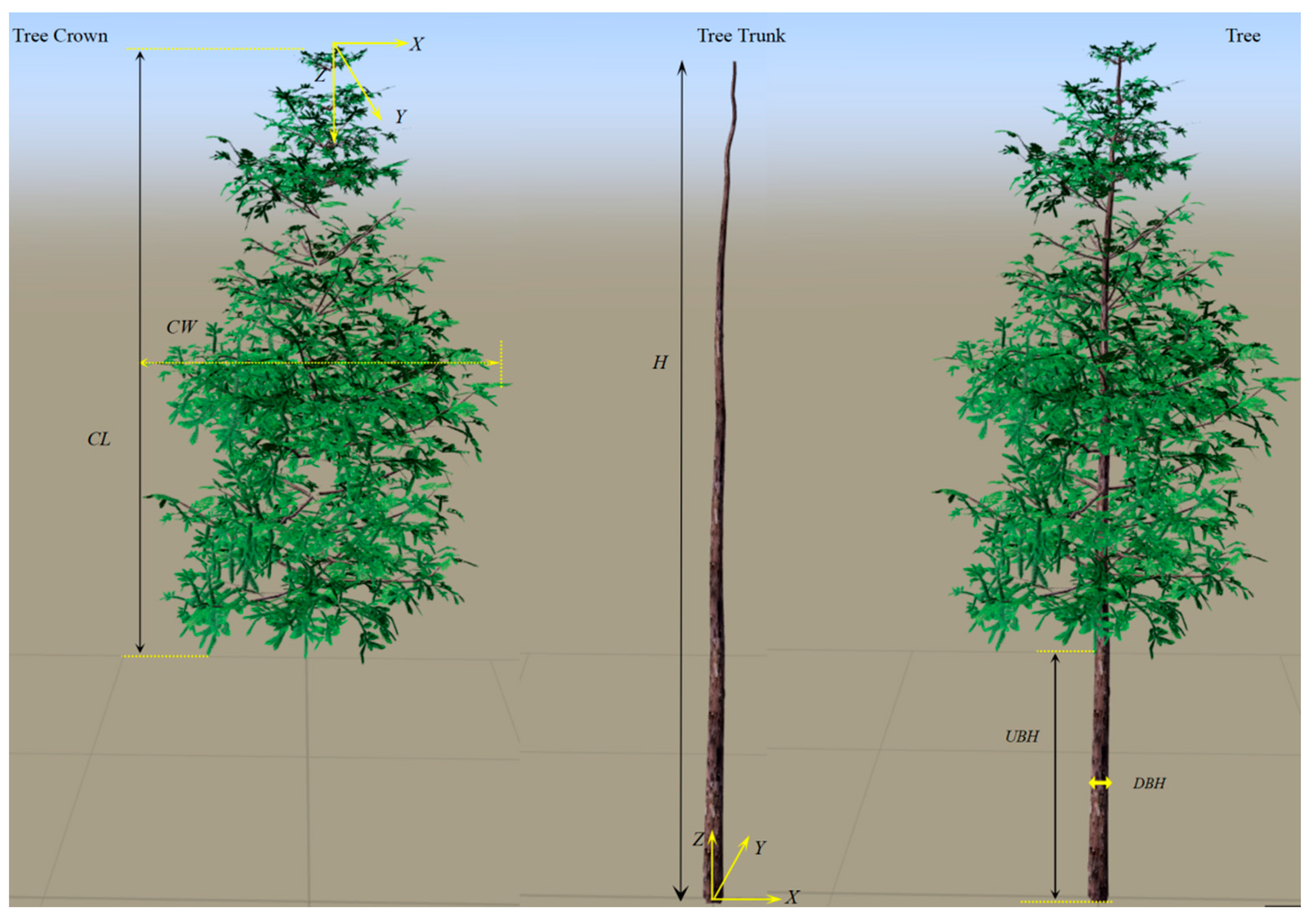 Forests 14 00617 g006