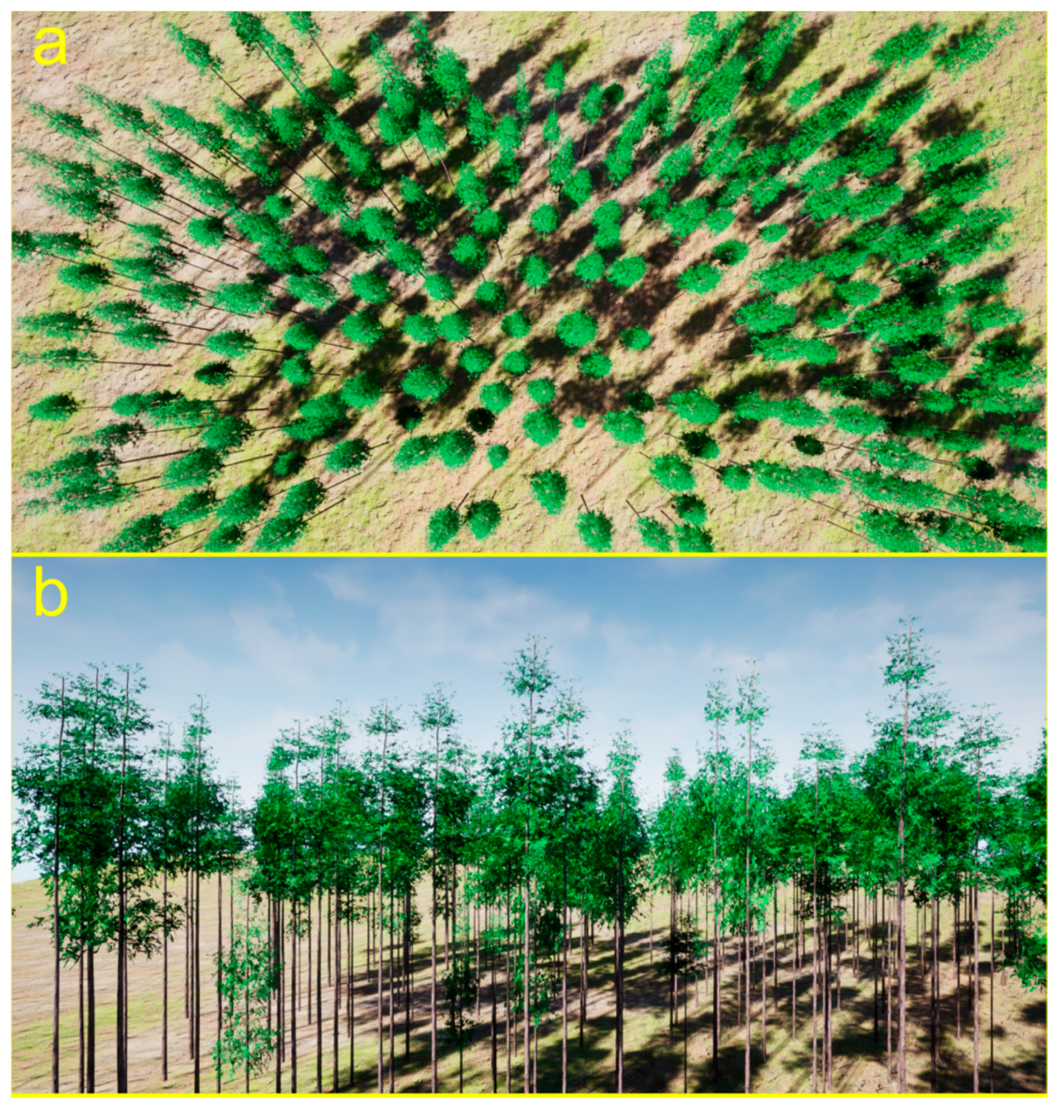 Forests 14 00617 g010