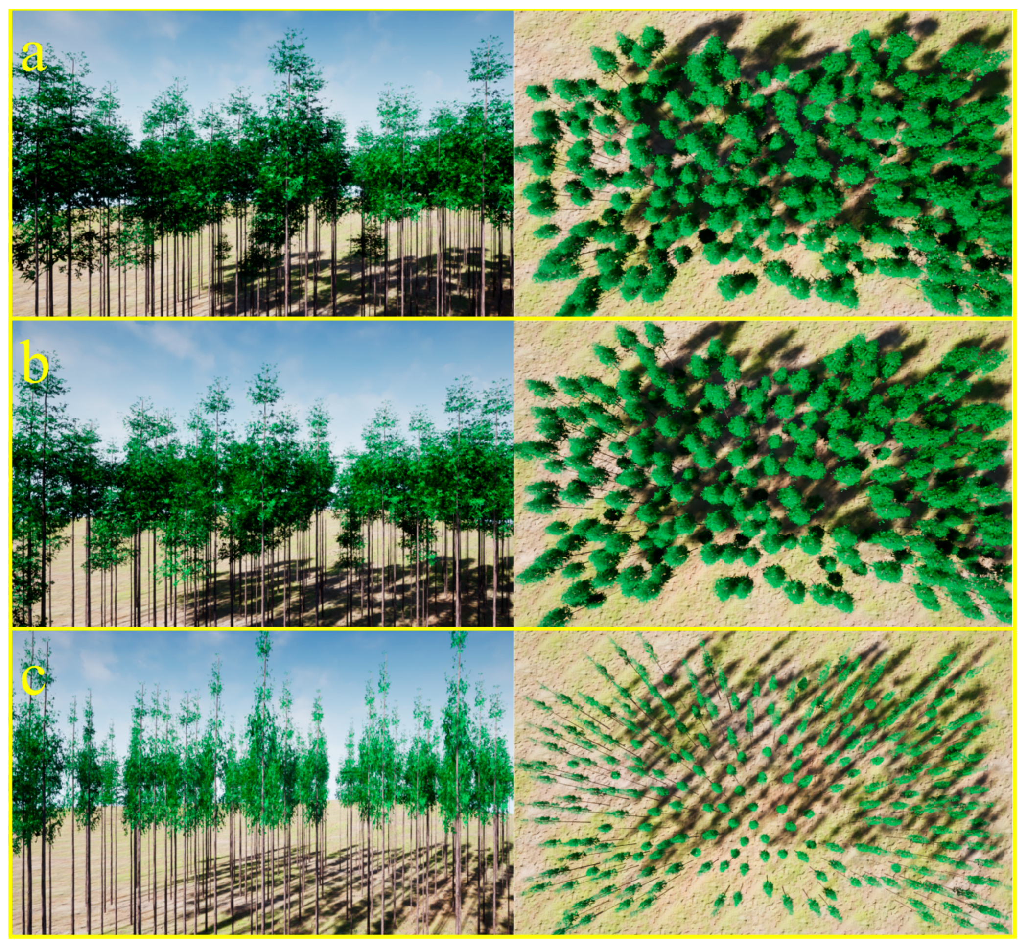 Forests 14 00617 g012