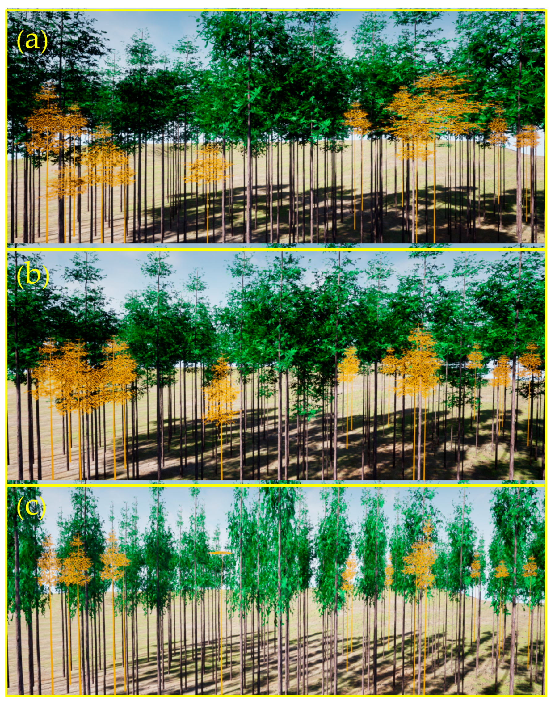 Forests 14 00617 g013