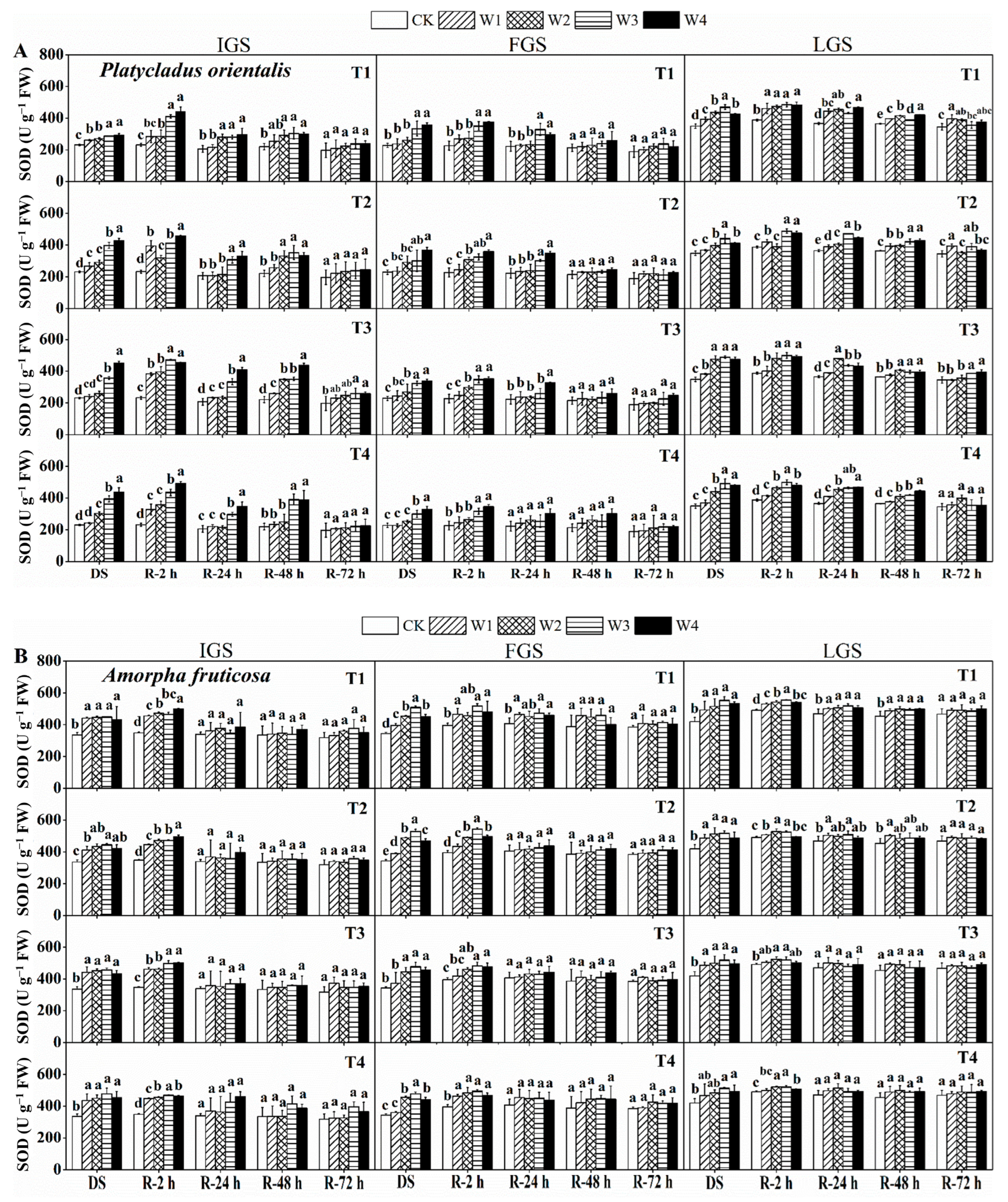 Forests 14 01019 g002