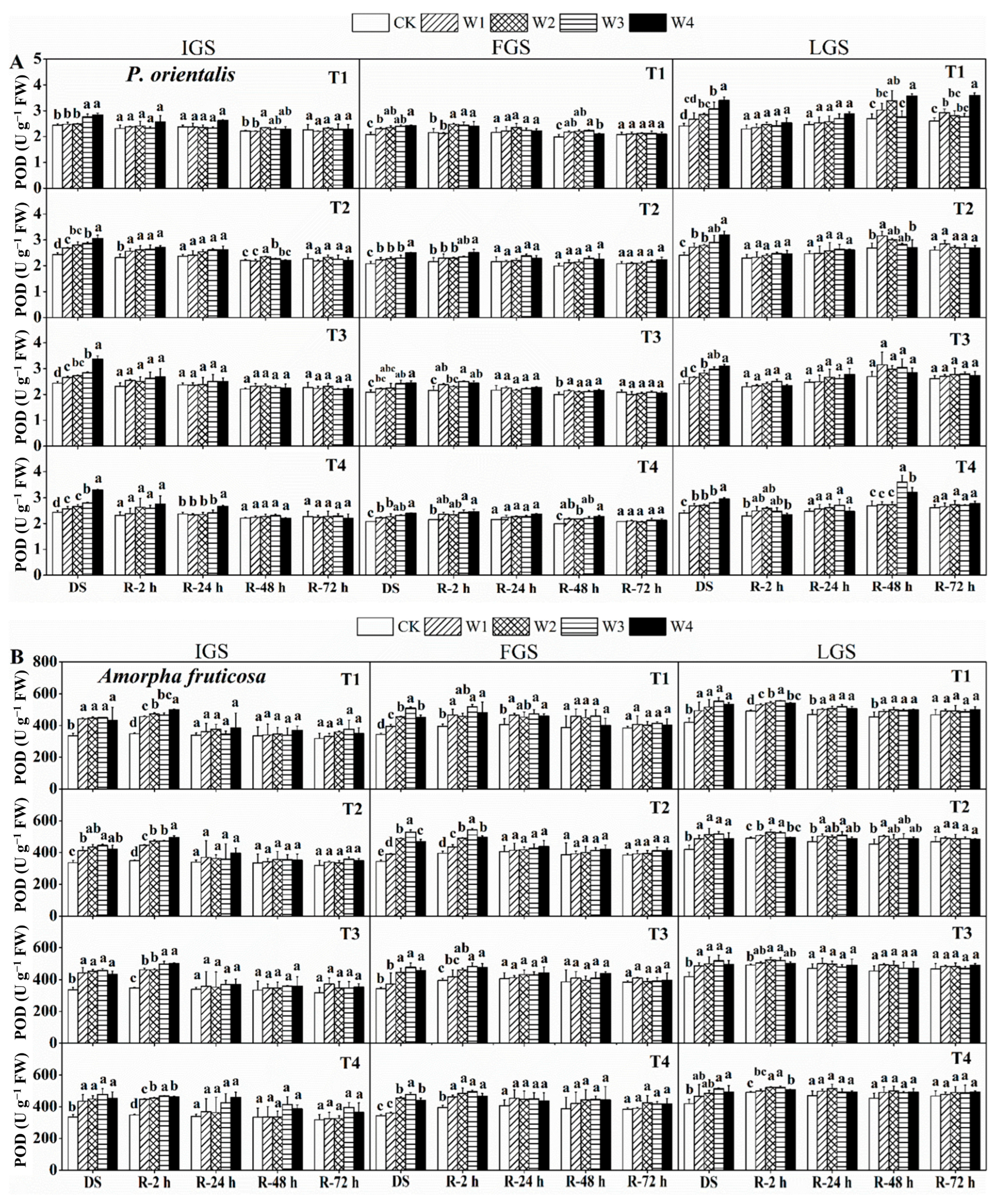 Forests 14 01019 g003