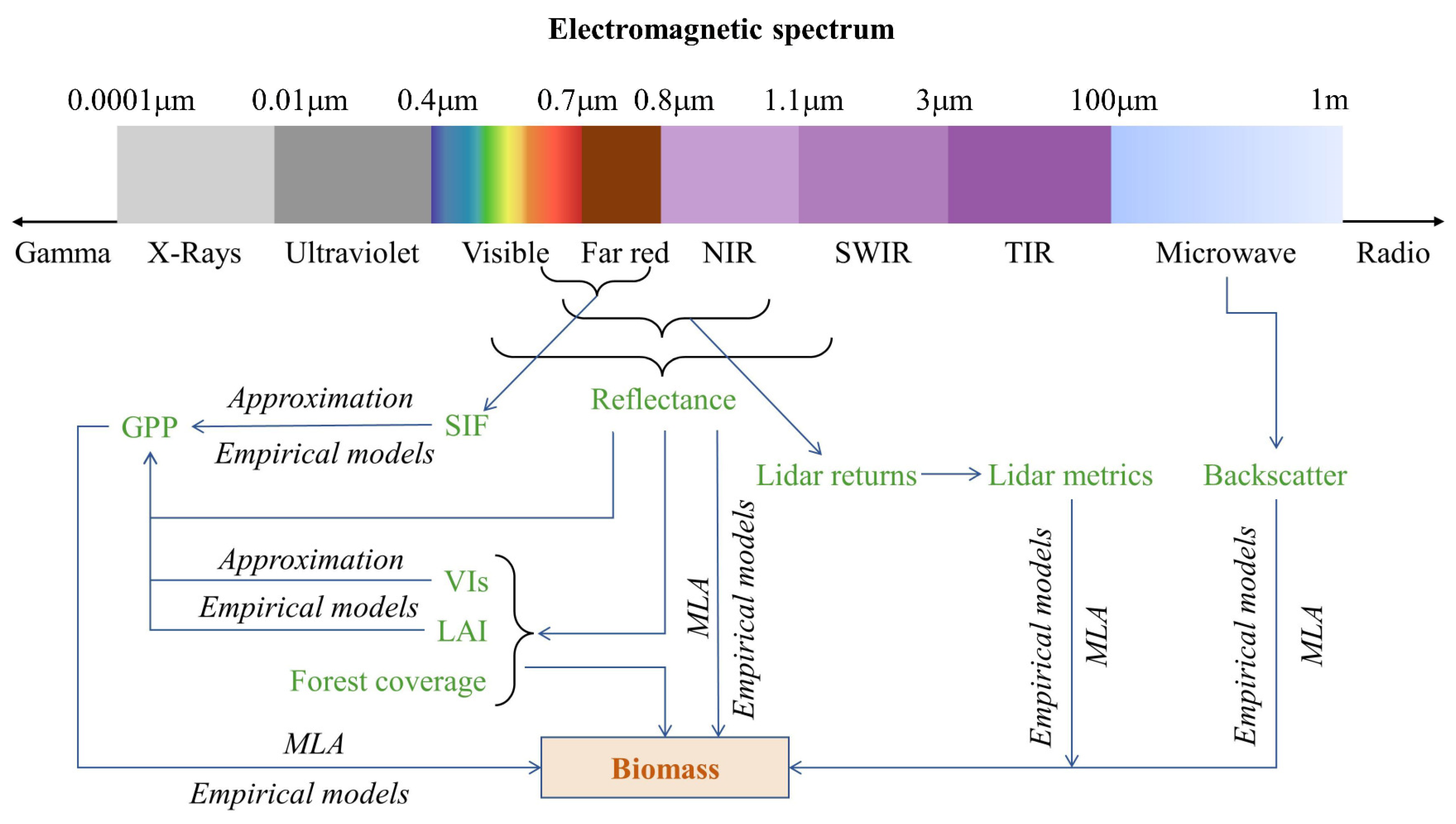 Forests 14 01086 g003 Forests 14 01086 g003