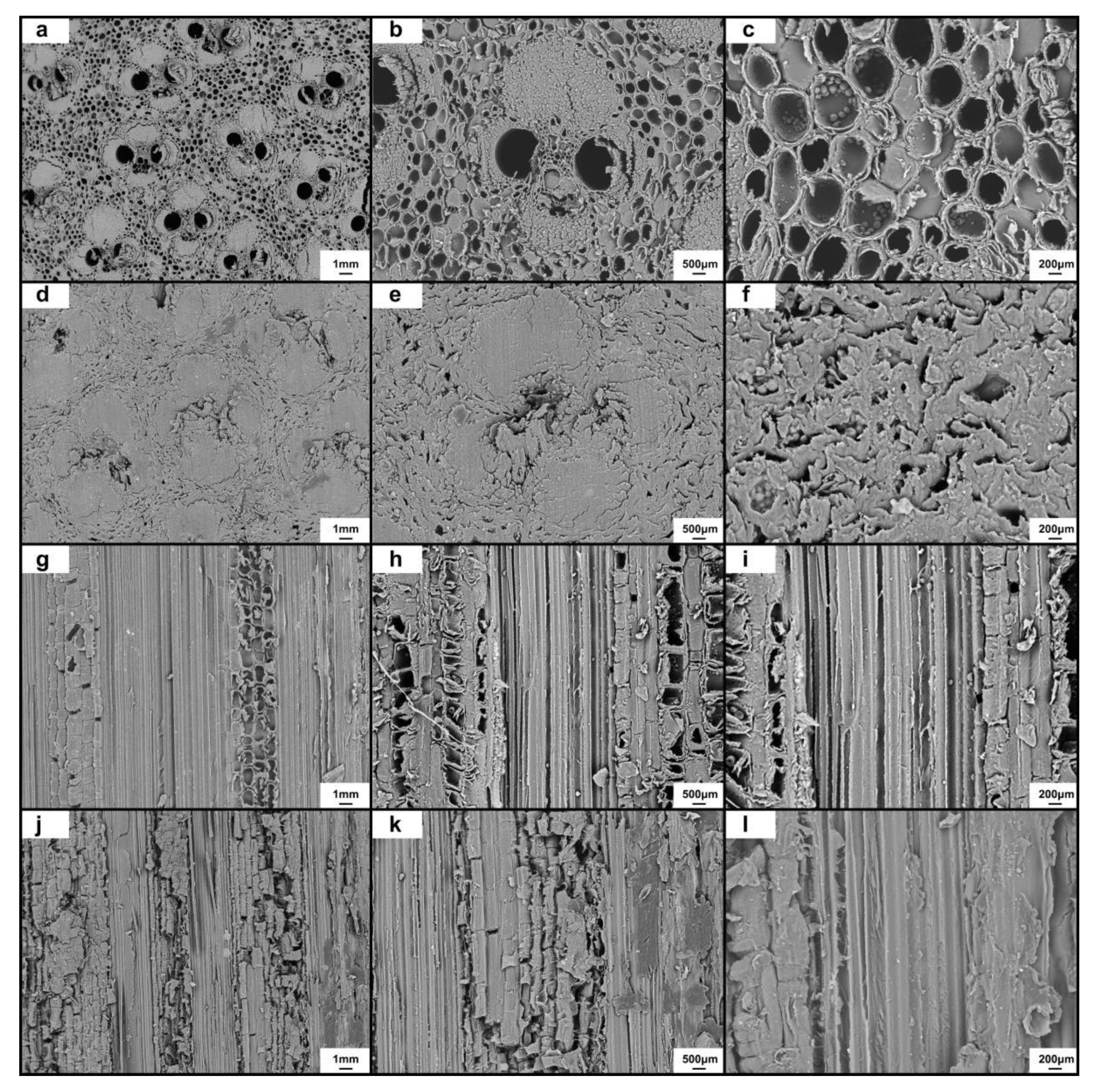 Forests 14 01158 g004