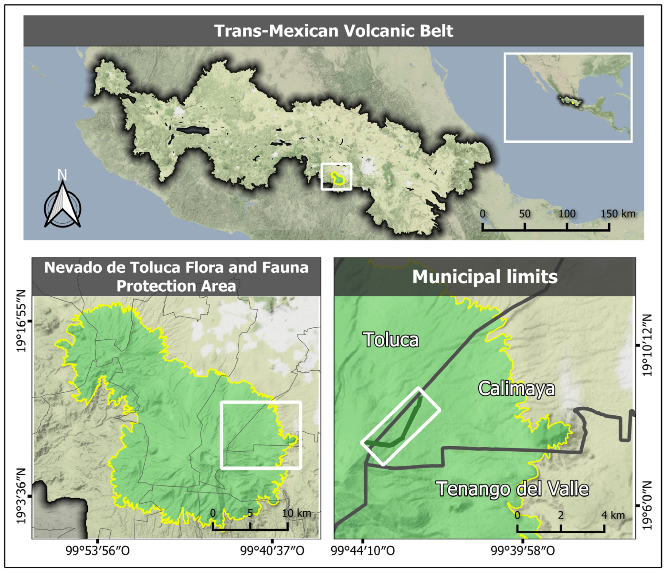 Forests 14 01176 g001