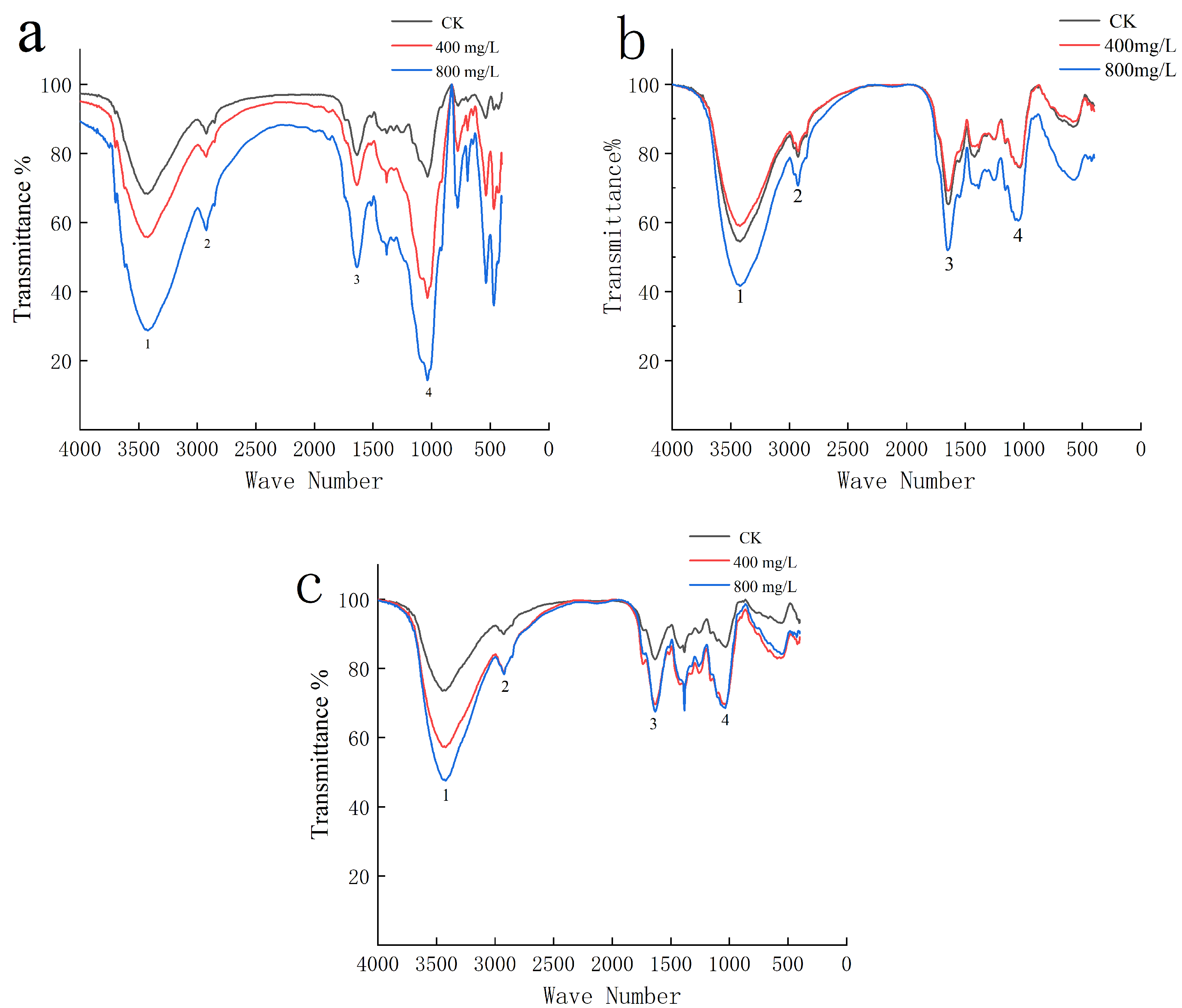 Forests 14 01245 g004