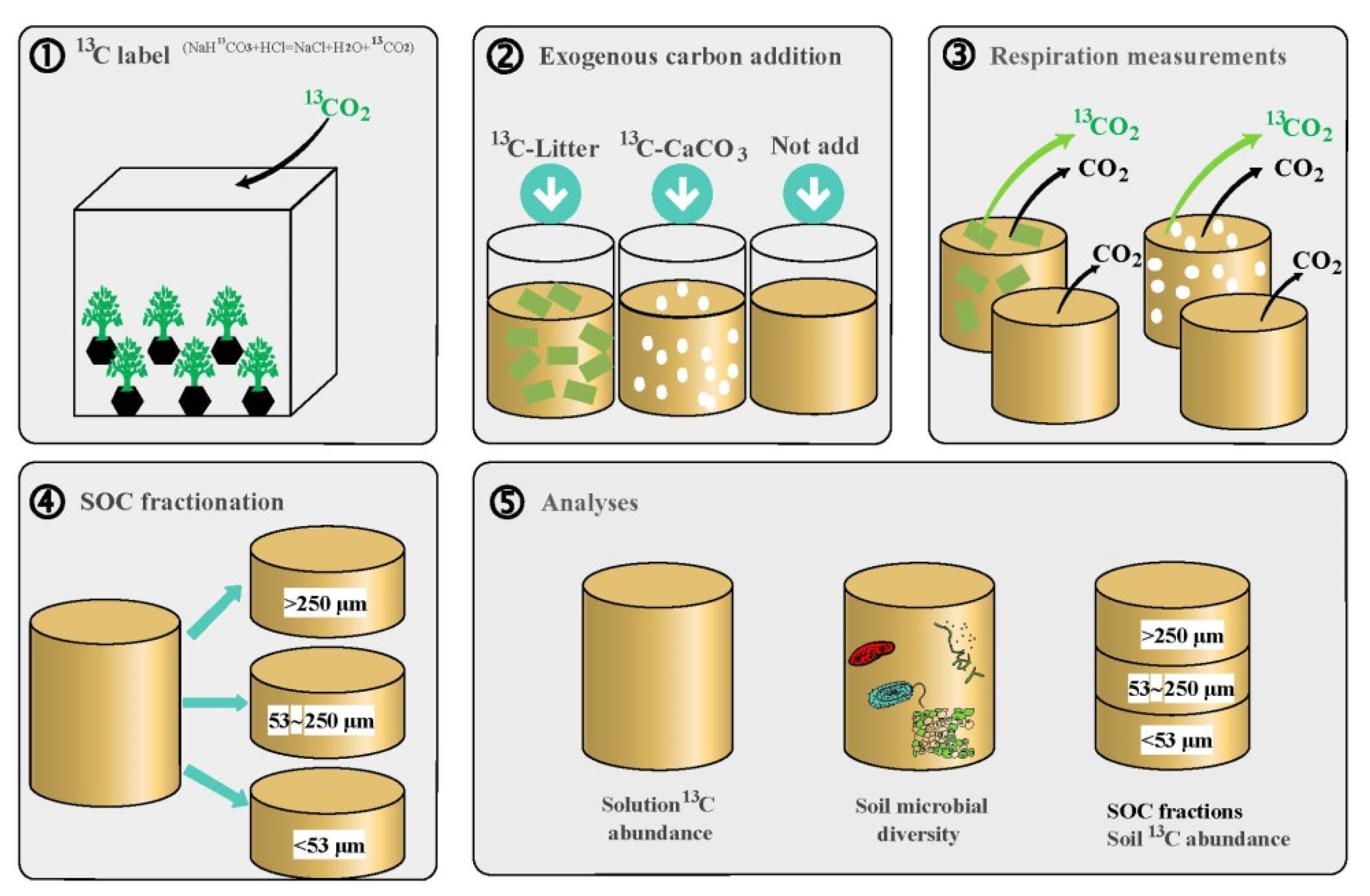 Forests Free Full Text Exogenous Carbon Addition Reduces Soil