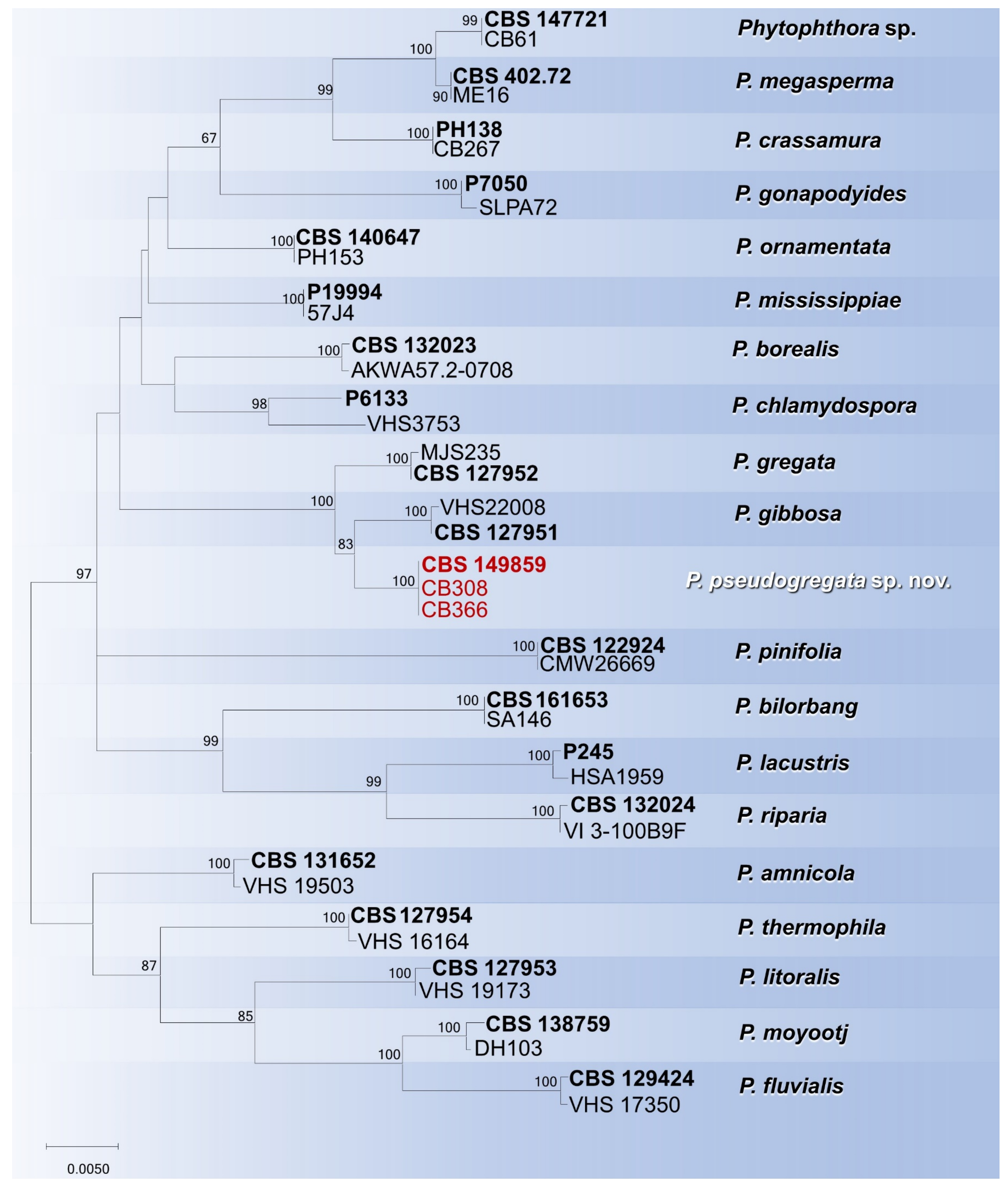 Forests 14 01515 g005 Forests 14 01515 g005