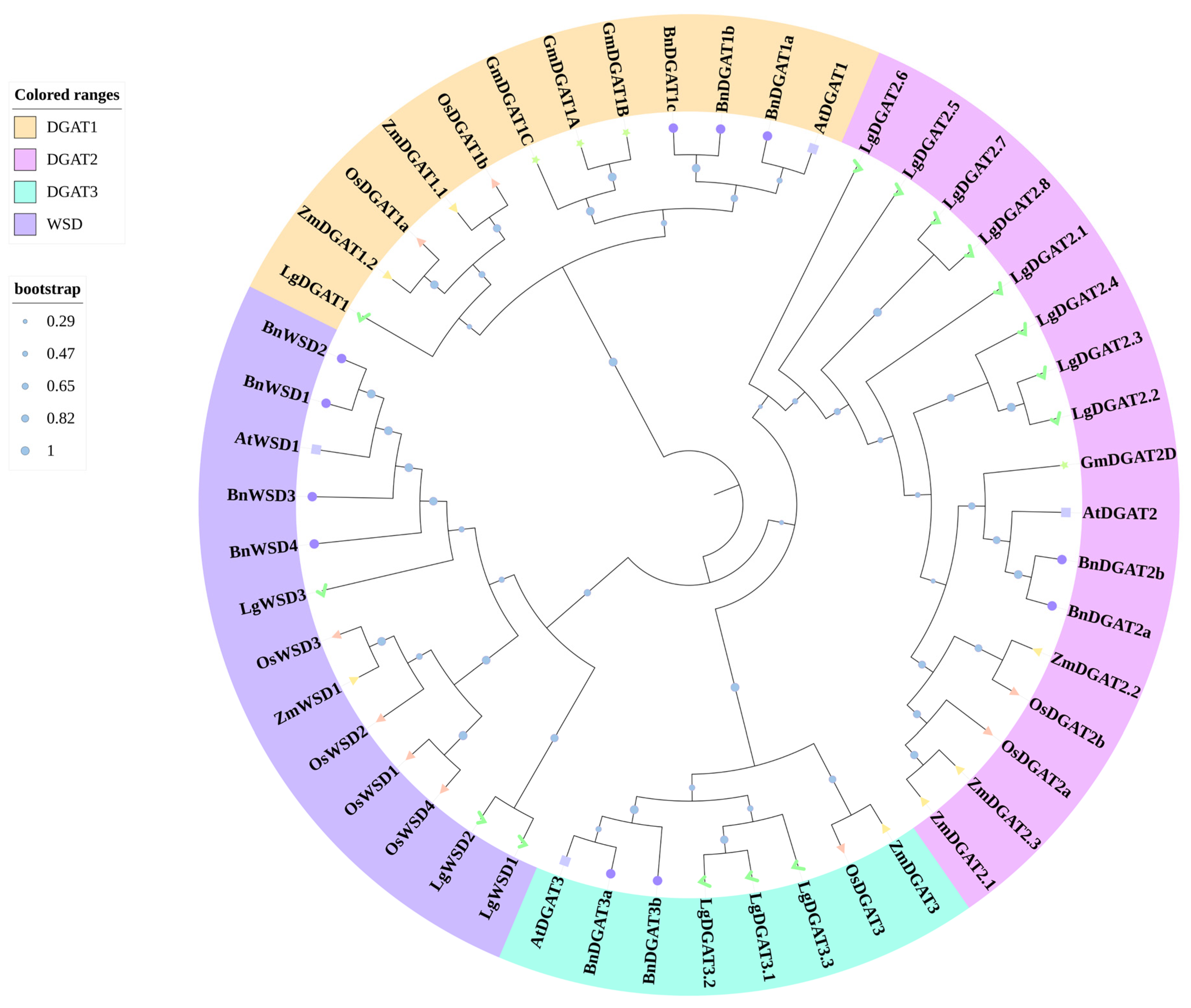 Forests 14 01633 g001