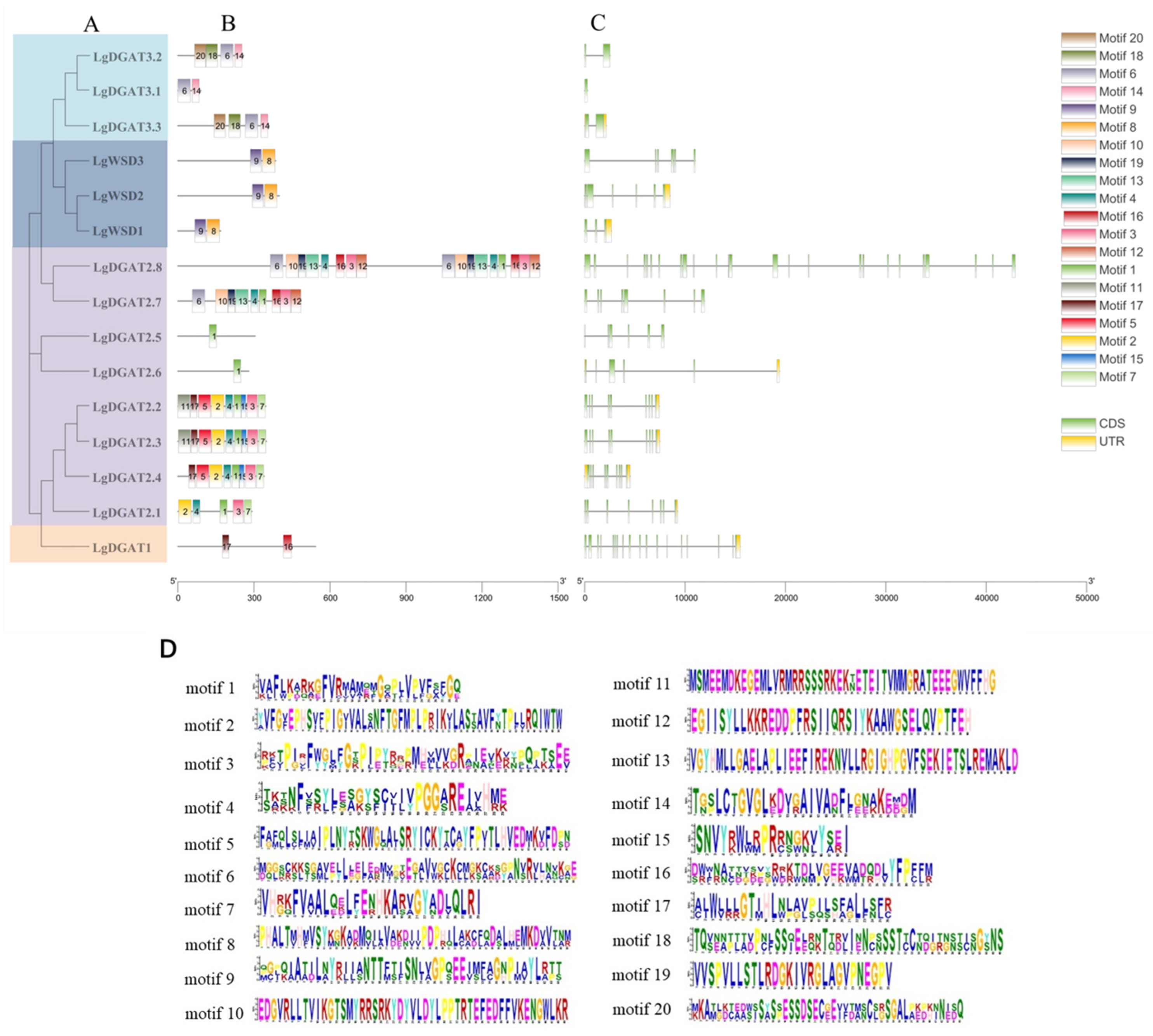 Forests 14 01633 g002