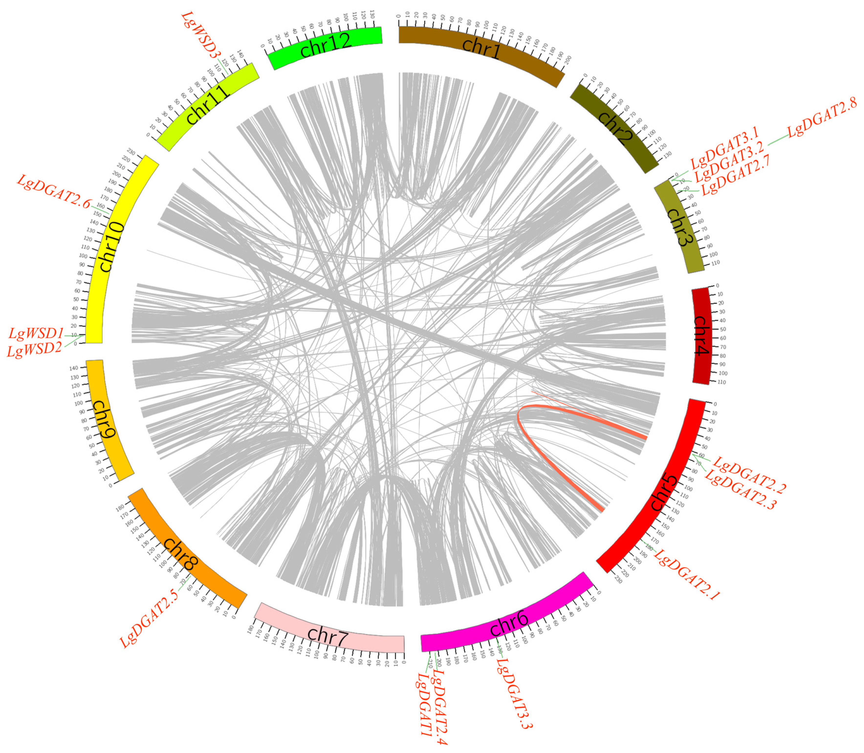 Forests 14 01633 g005