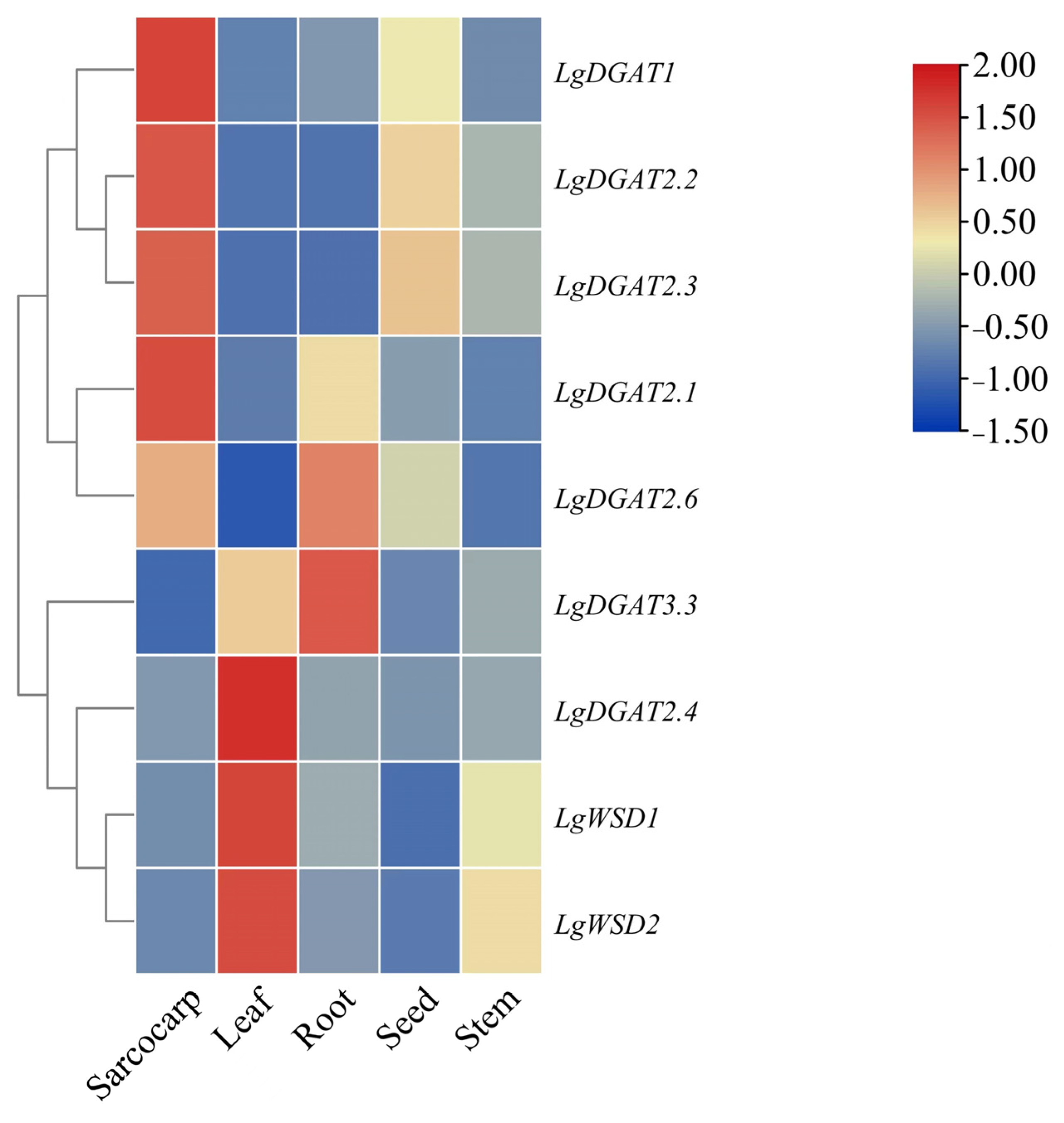 Forests 14 01633 g008