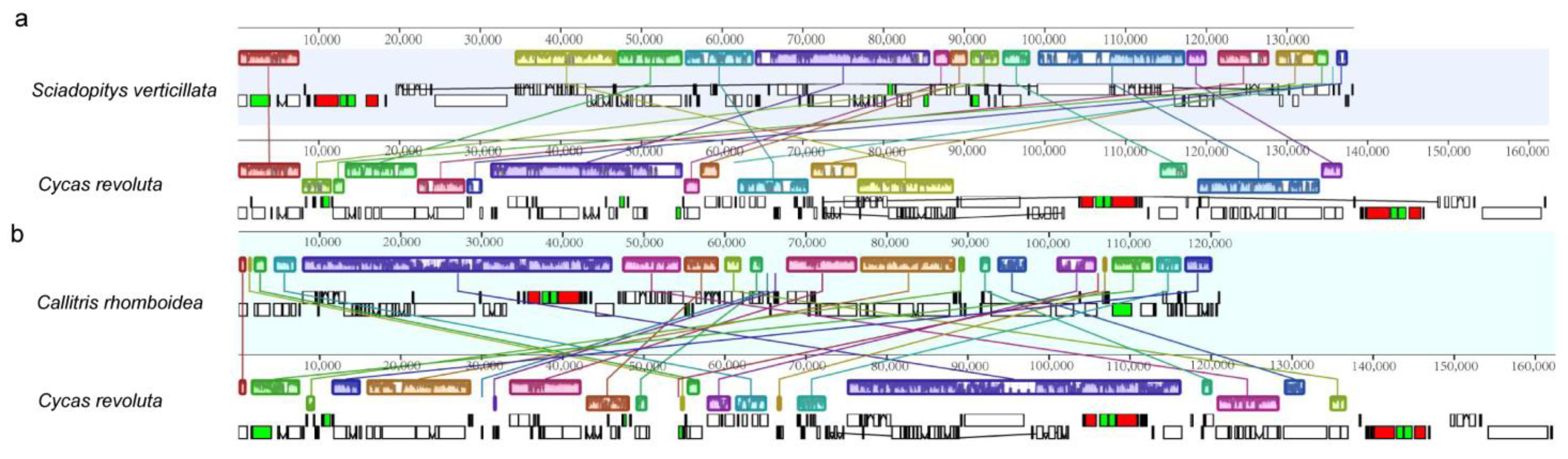 Forests 14 01681 g001