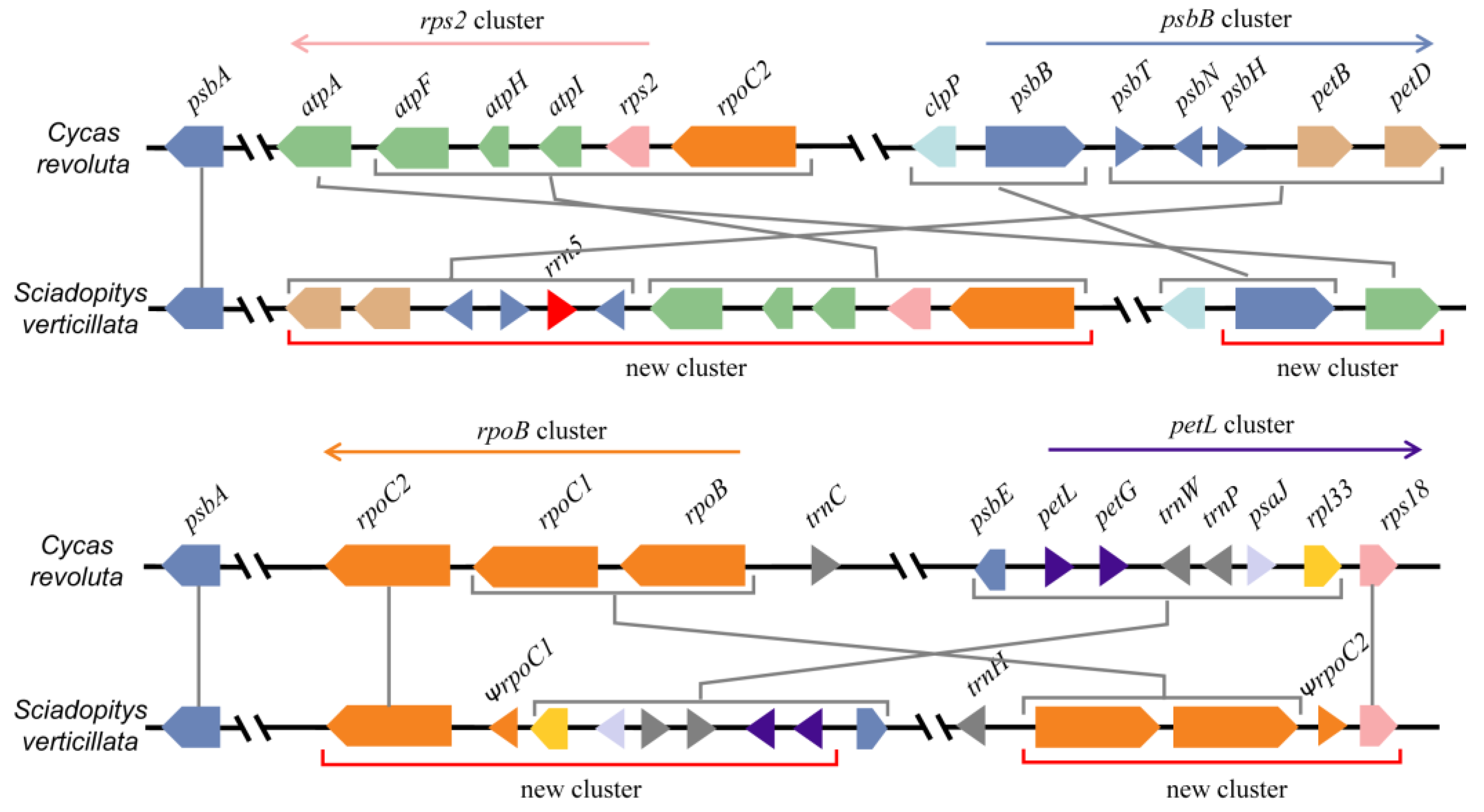 Forests 14 01681 g002