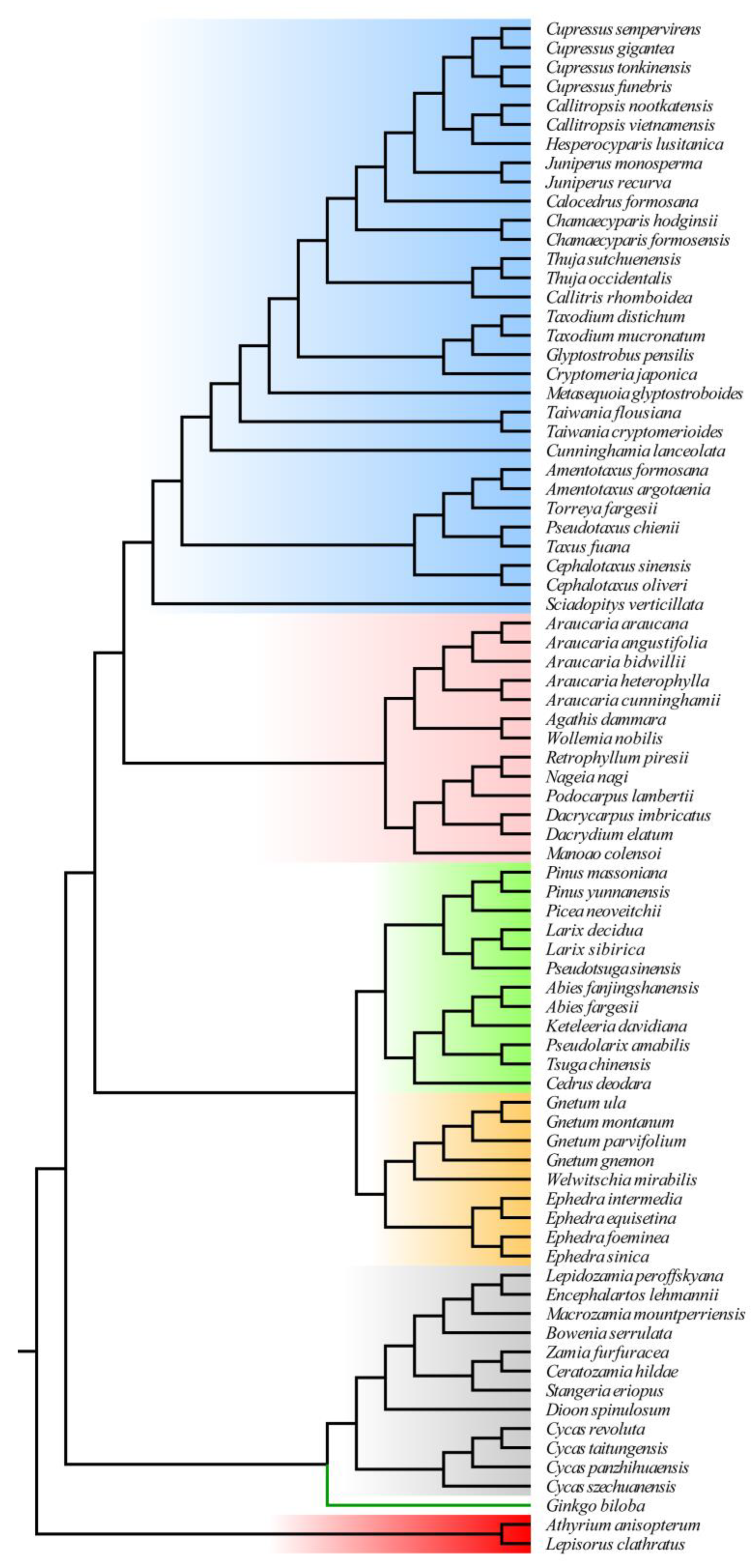 Forests 14 01681 g003