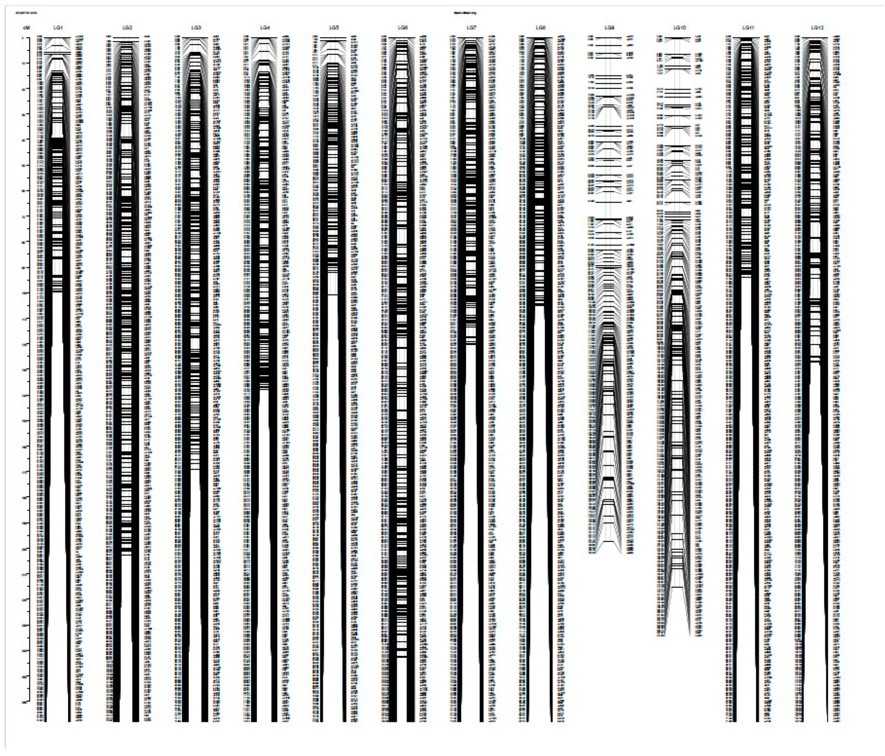 Forests 14 01684 g001