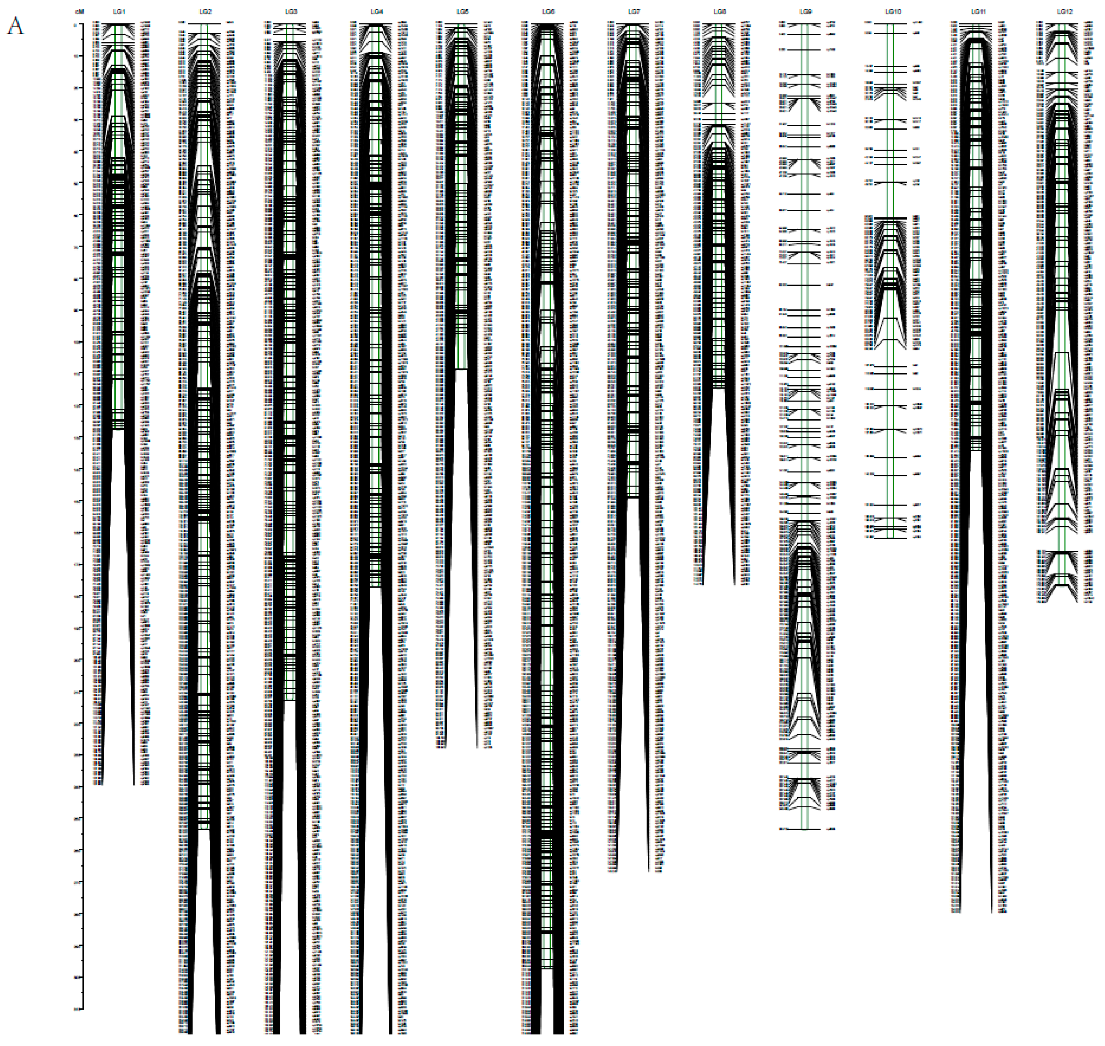 Forests 14 01684 g003a