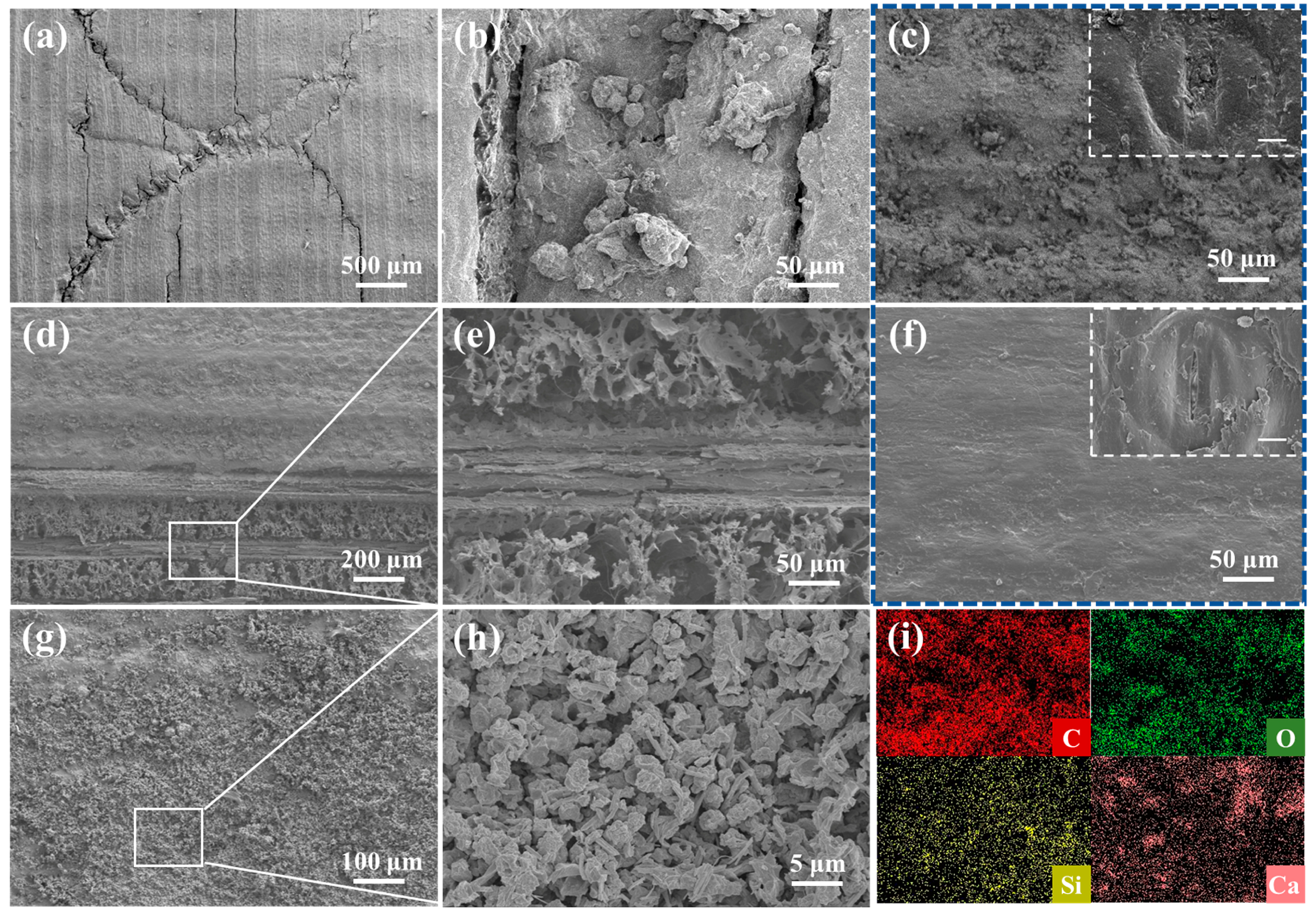 Forests 14 01775 g004