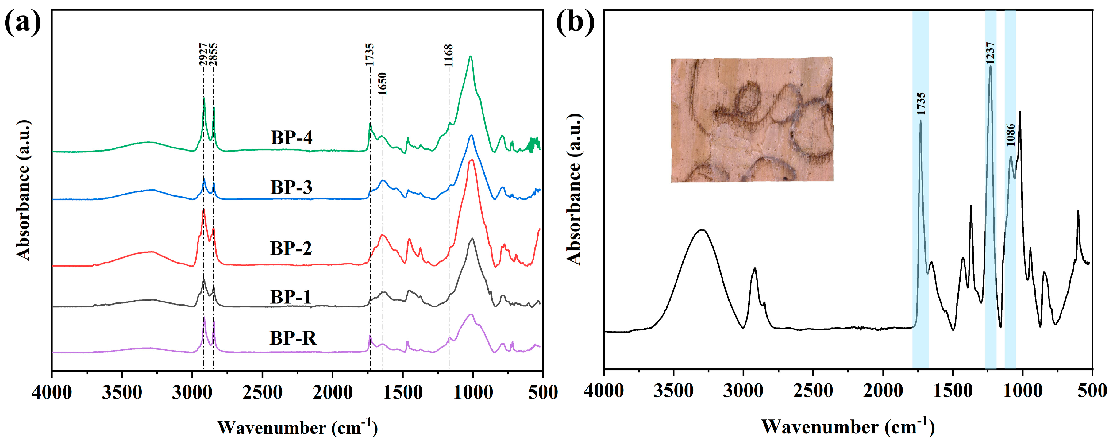 Forests 14 01775 g006