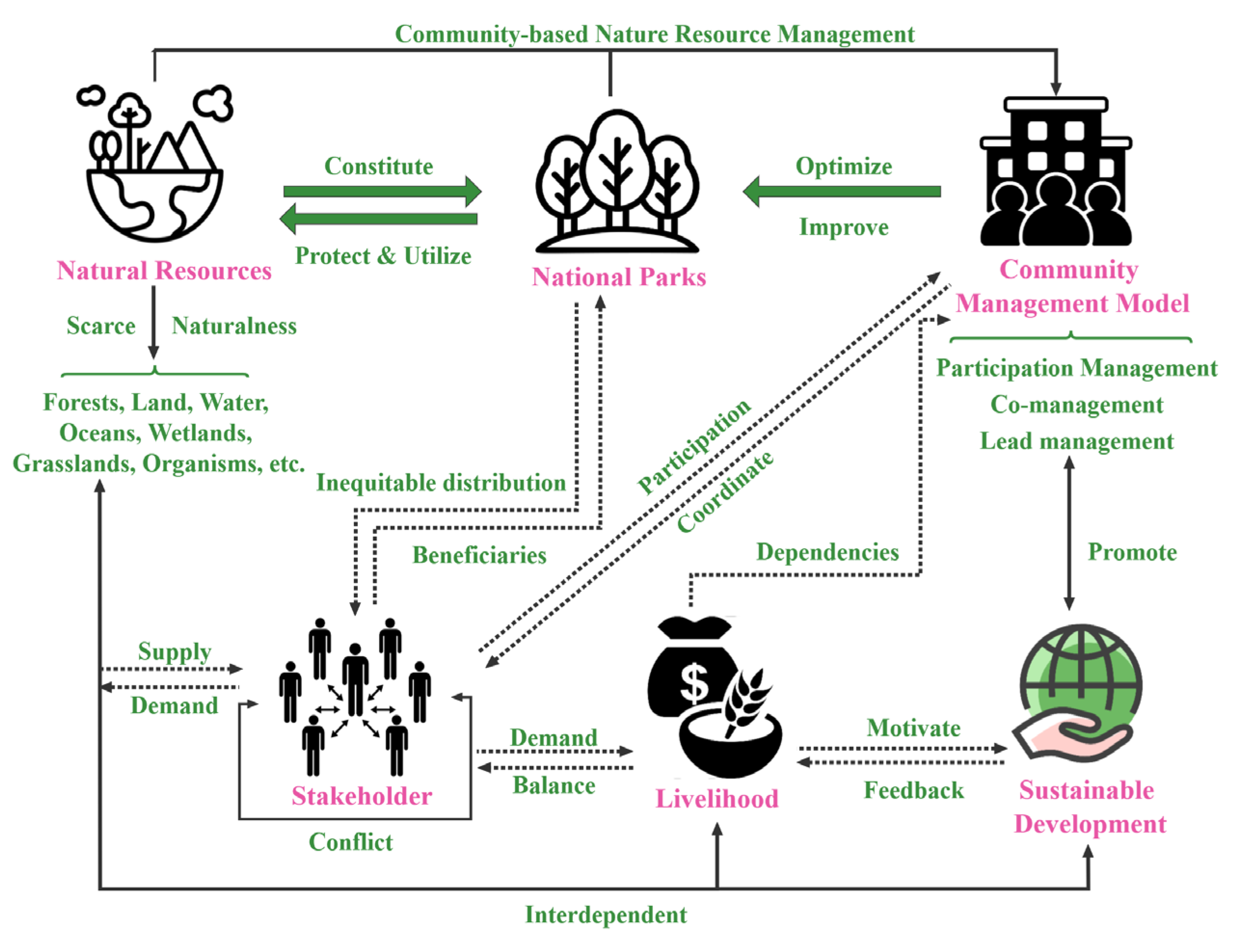 Forests 14 01850 g005