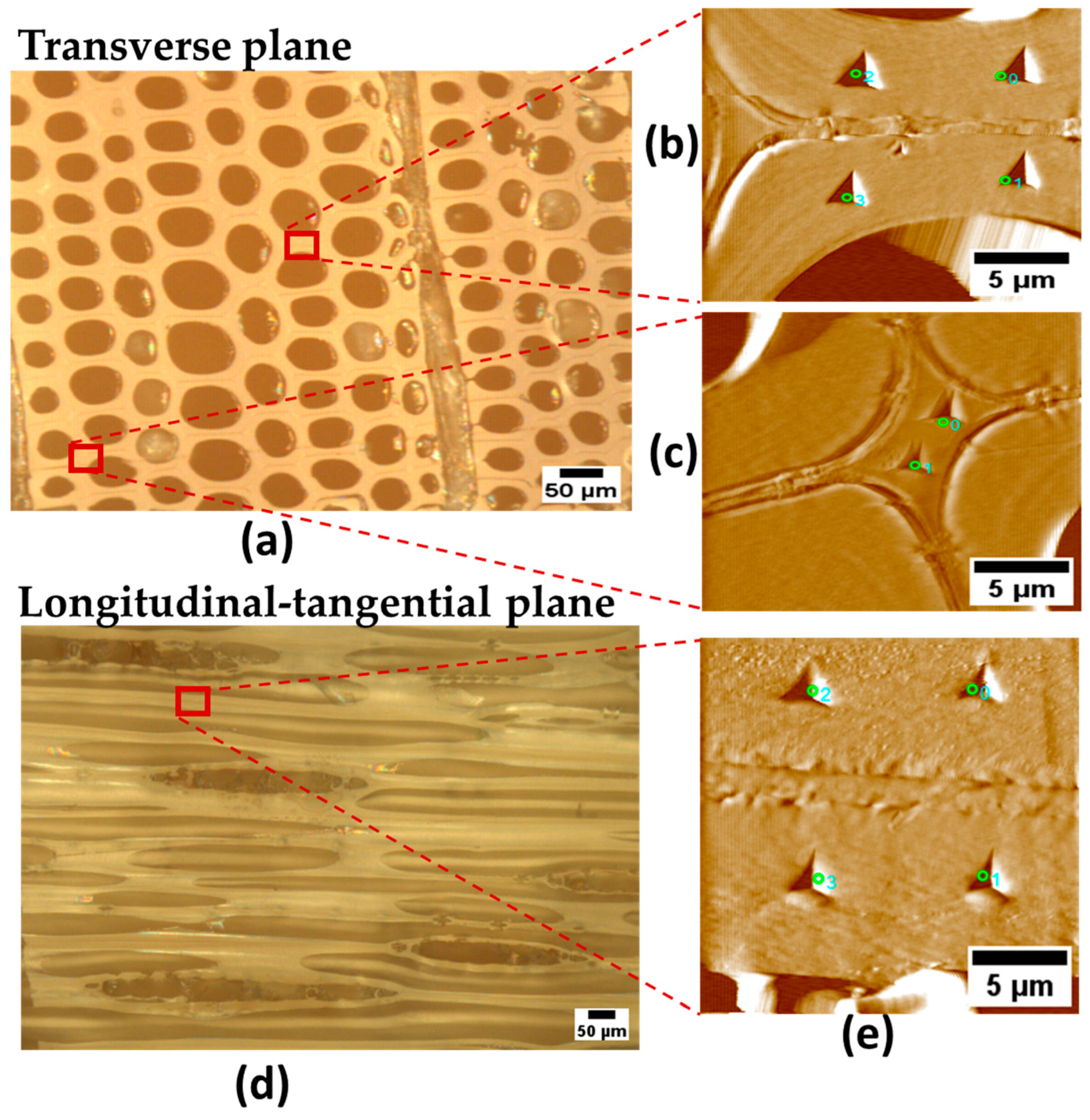 Forests 14 01900 g003