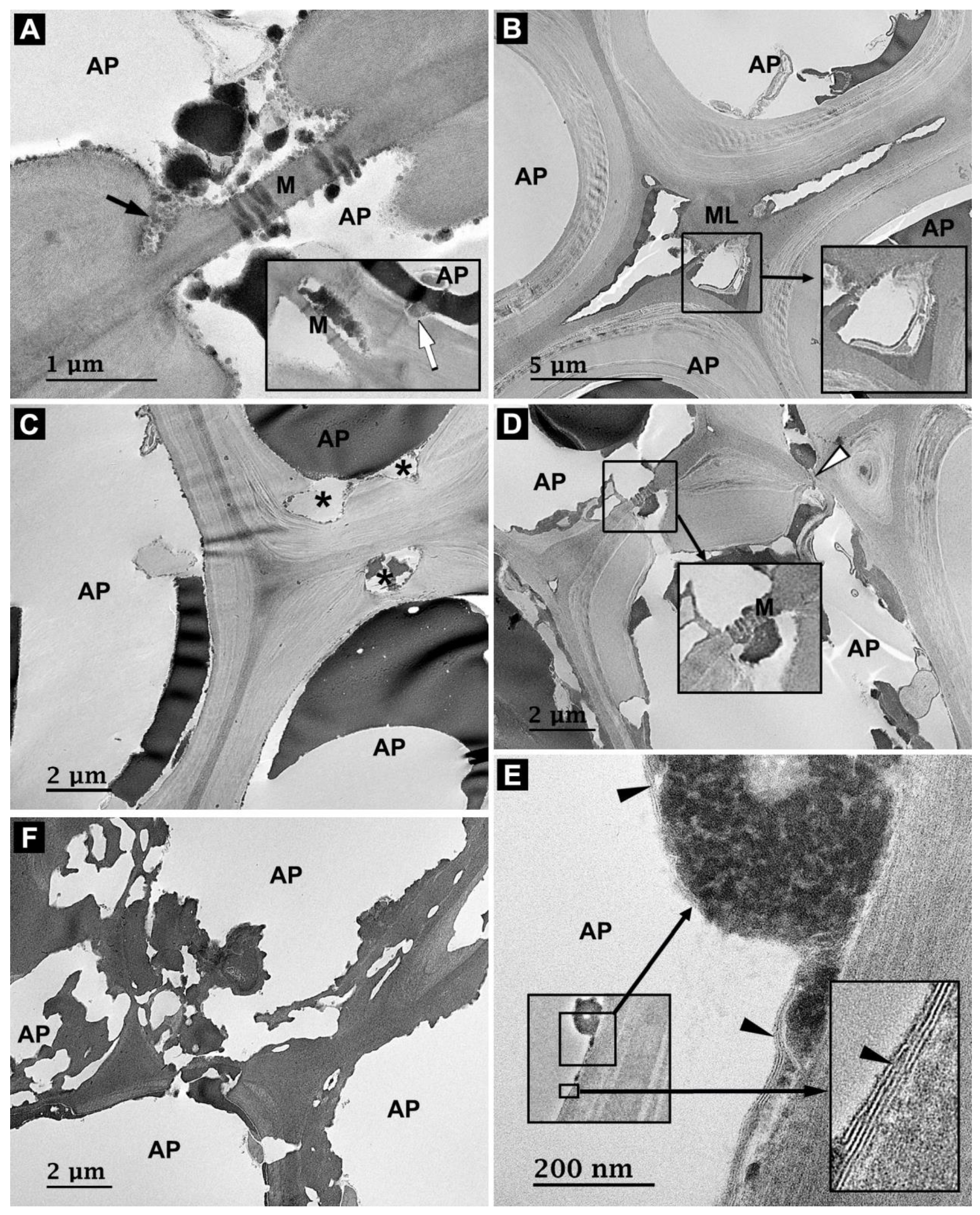 Forests 14 01992 g010