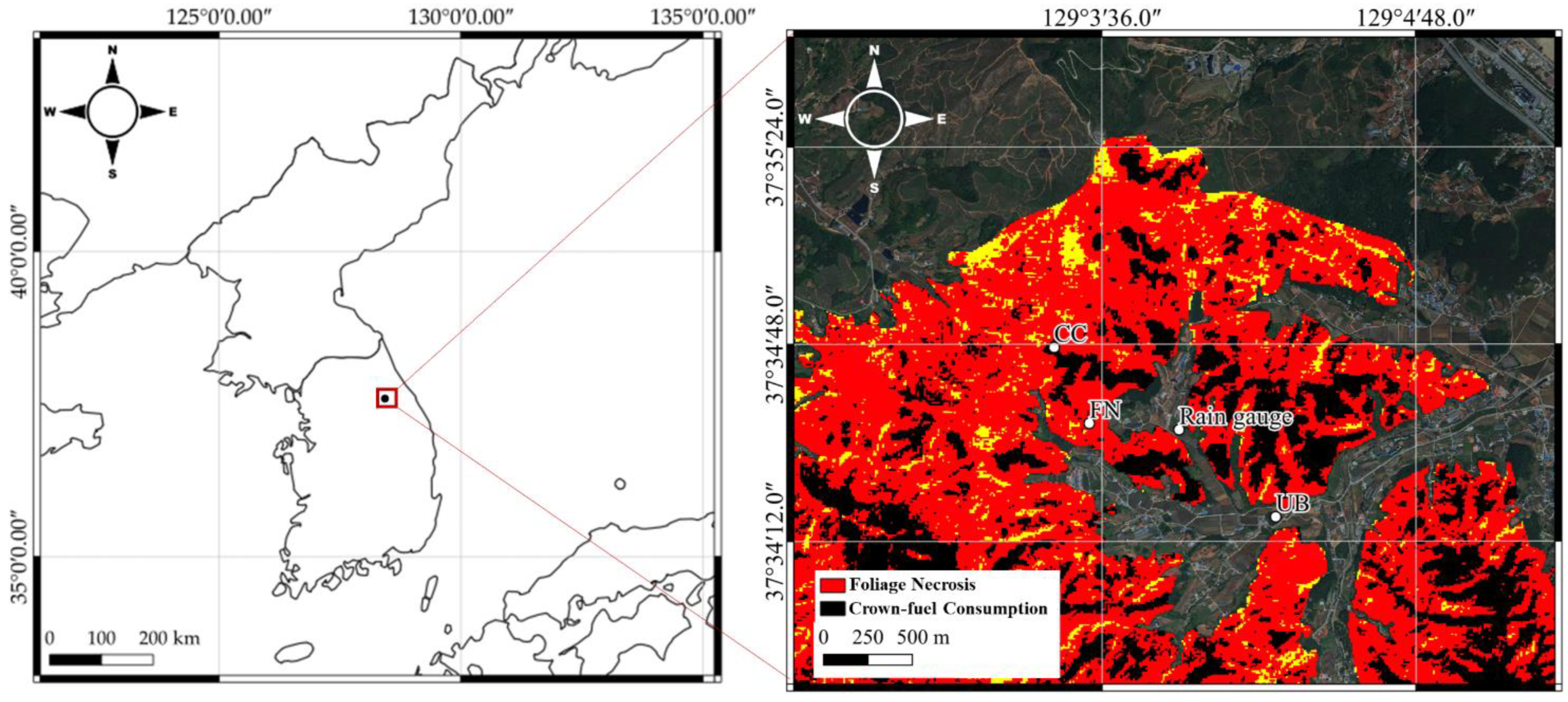 Forests 14 01996 g001