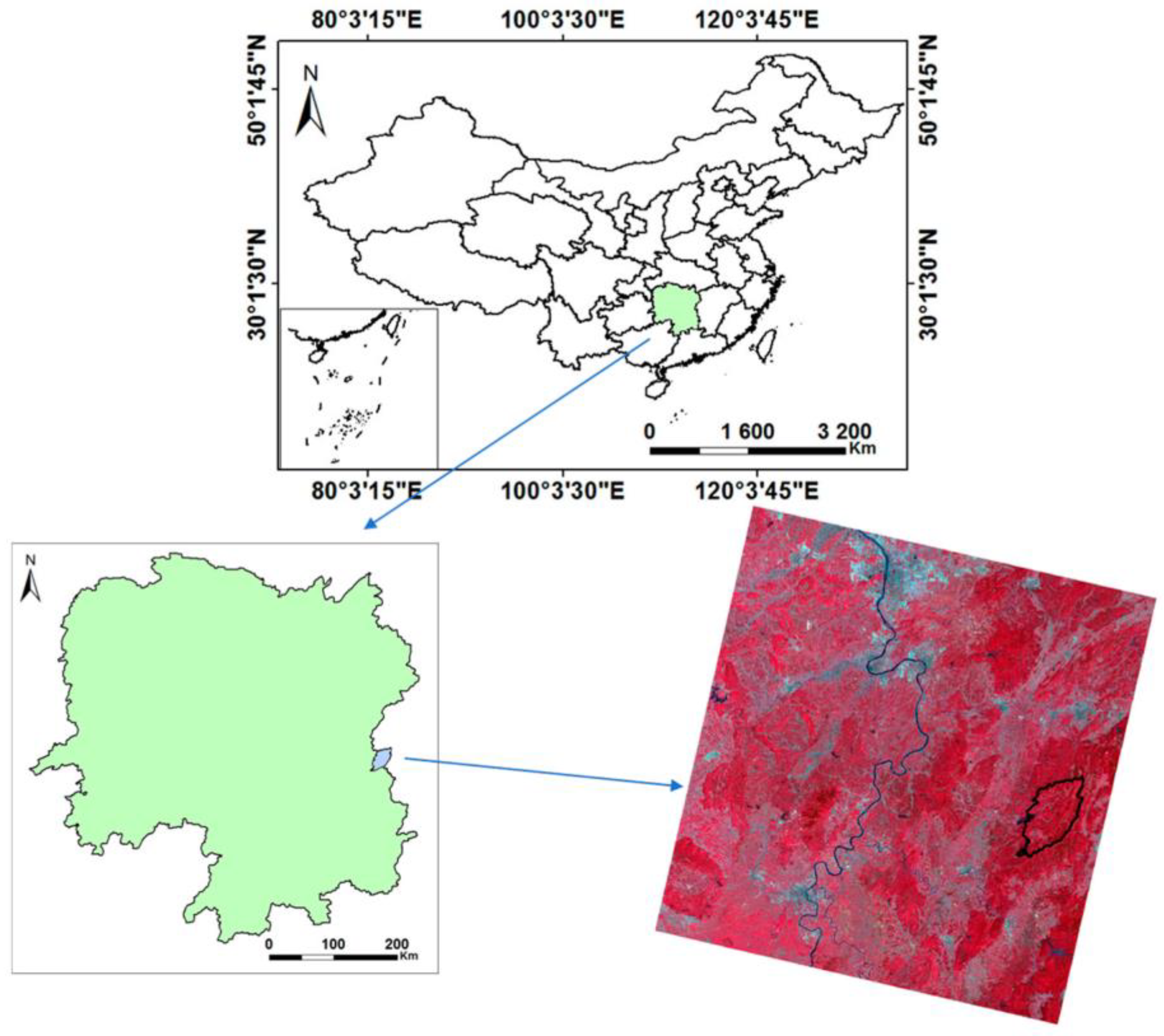 Forests 14 02303 g001