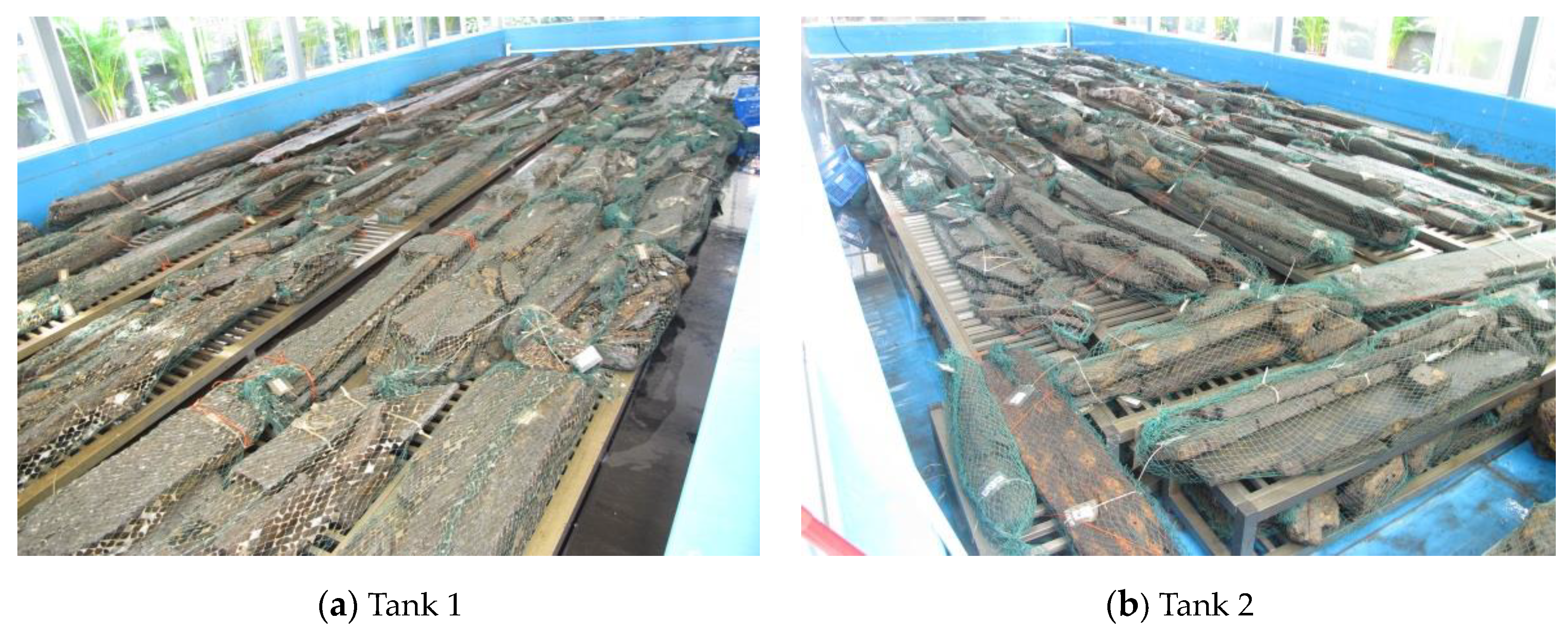 Forests 14 02432 g001