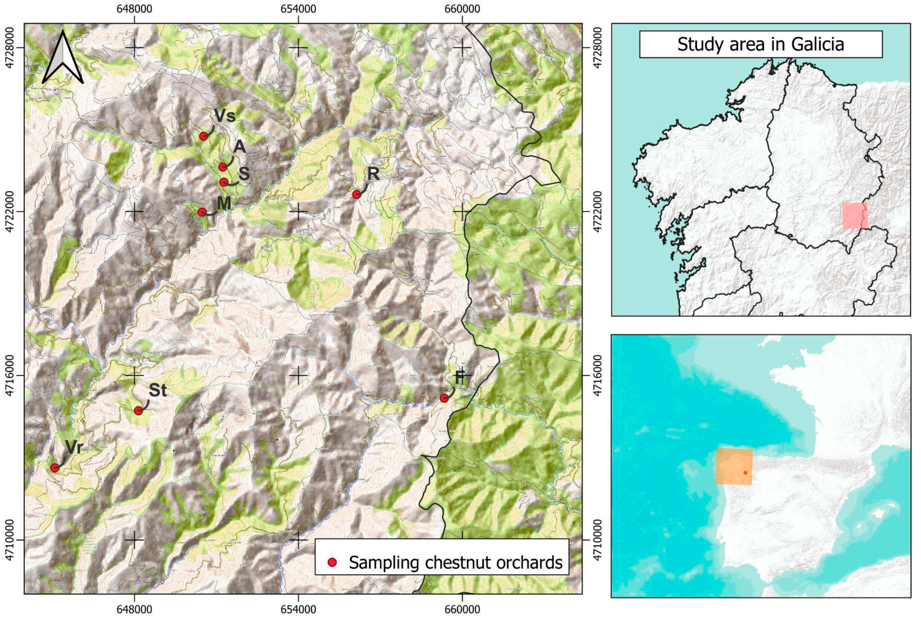 Forests 15 00160 g001